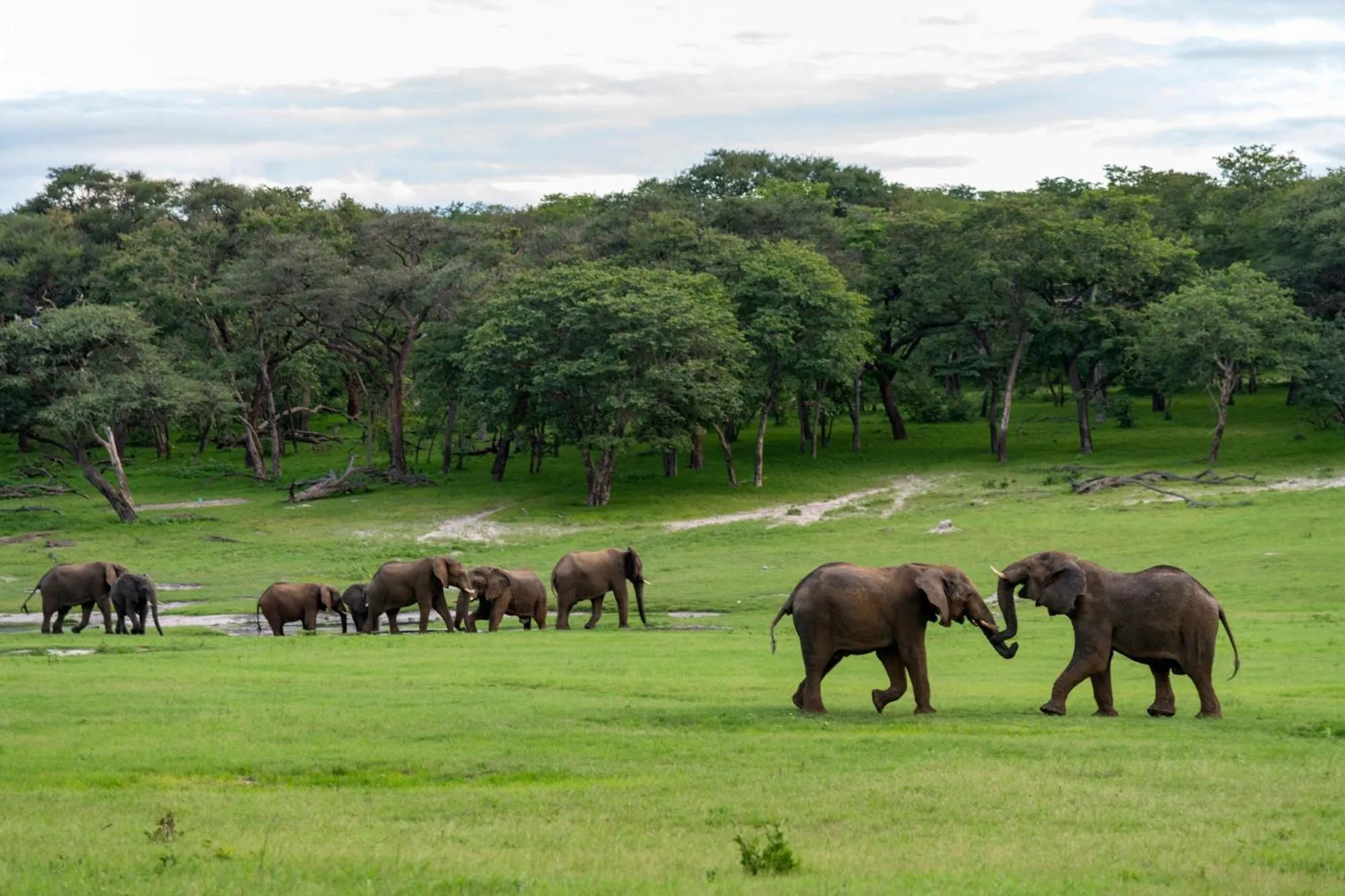 Day in Hwange Safari Lodge