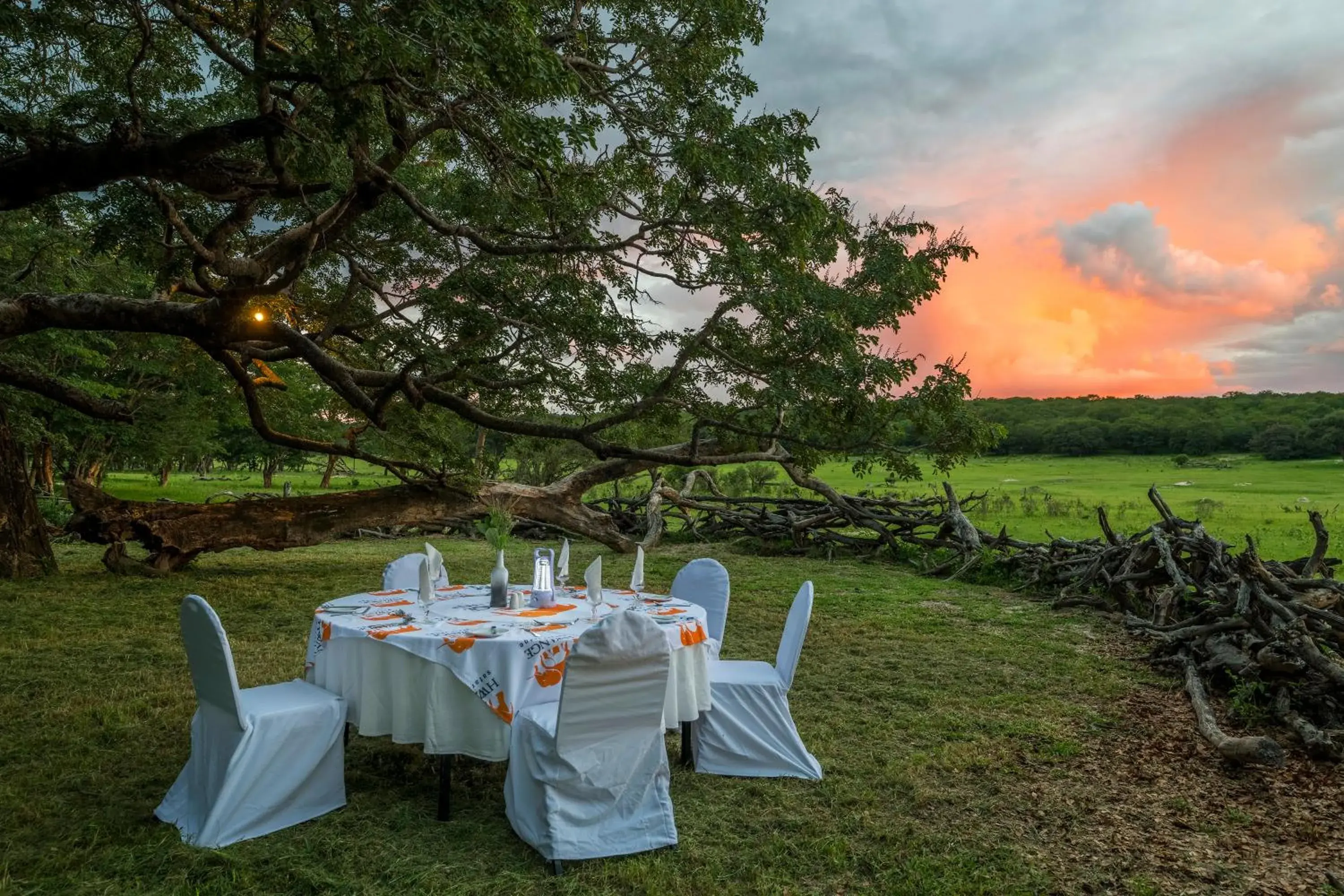 Restaurant/places to eat in Hwange Safari Lodge Restaurant/places to eat in Hwange Safari Lodge