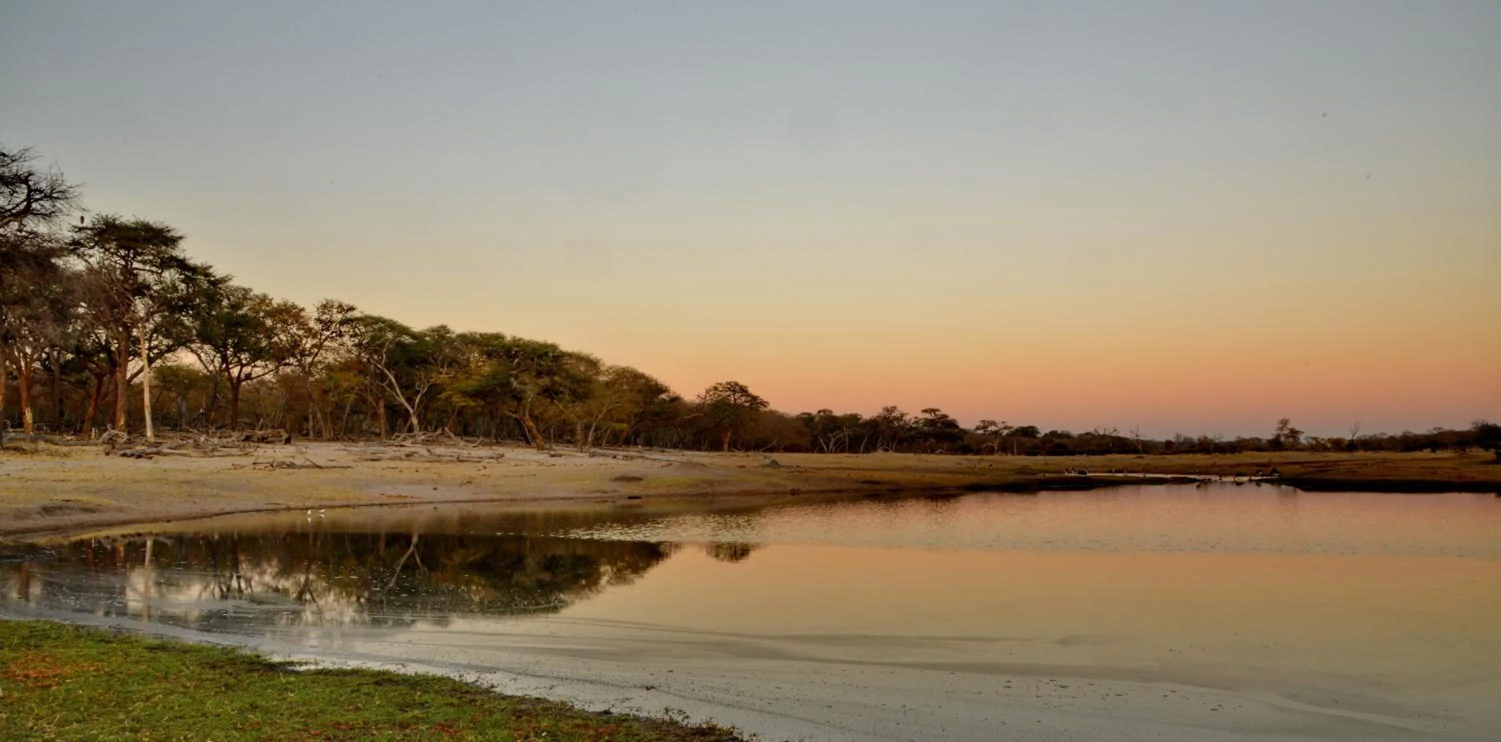 Natural landscape in Hwange Safari Lodge