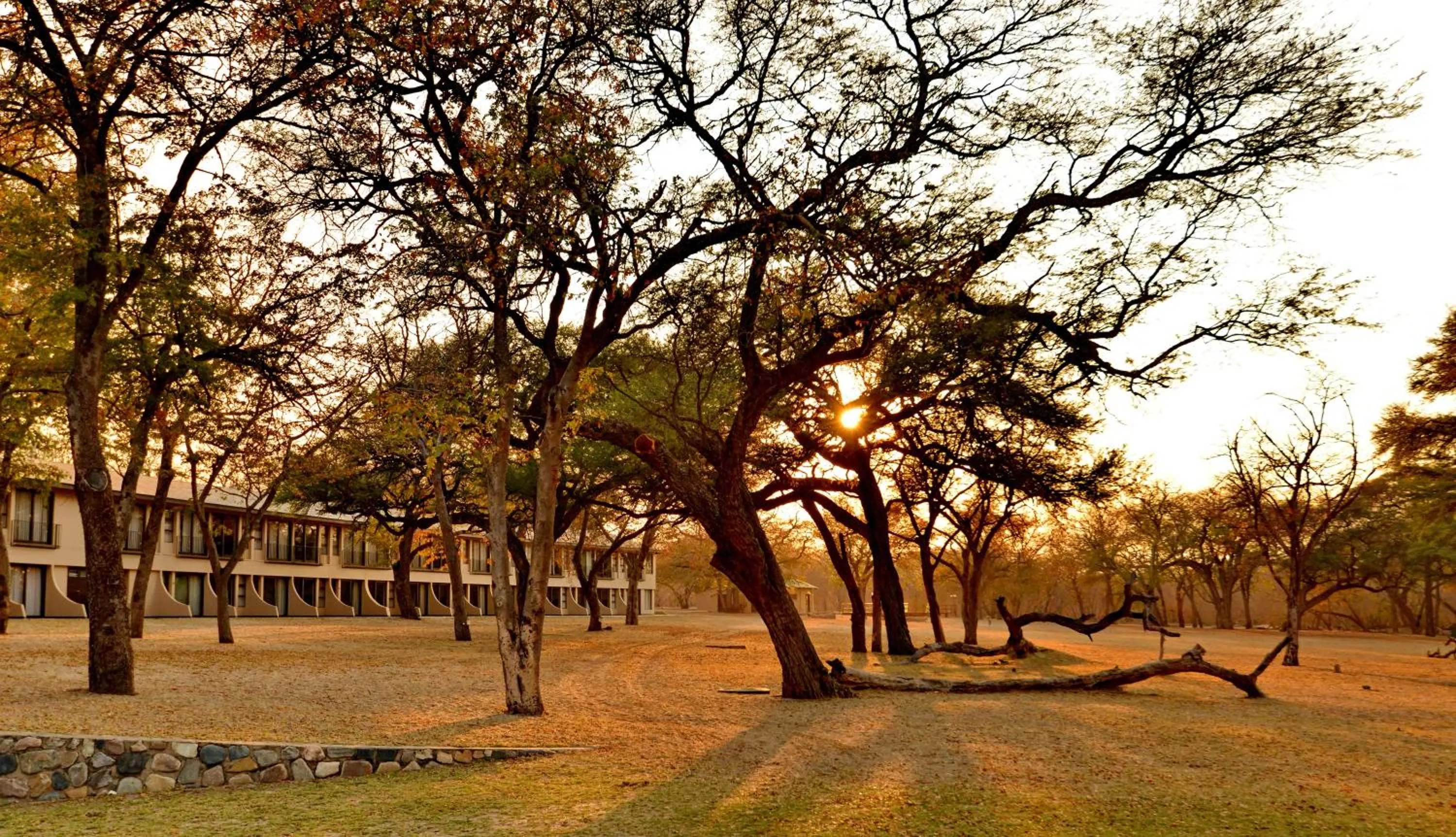 Natural landscape in Hwange Safari Lodge