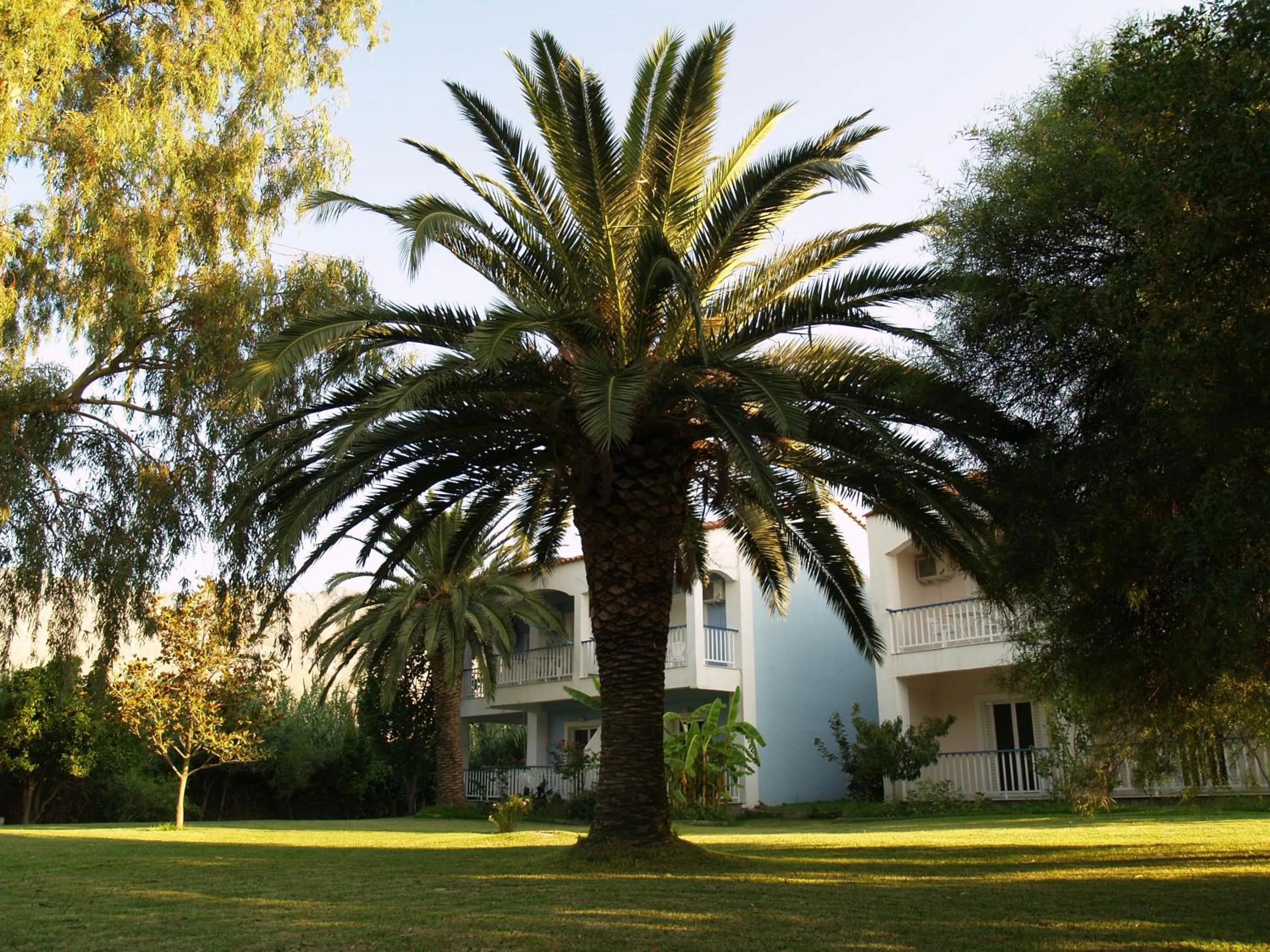 Property building in Hotel Cavo Mytikas