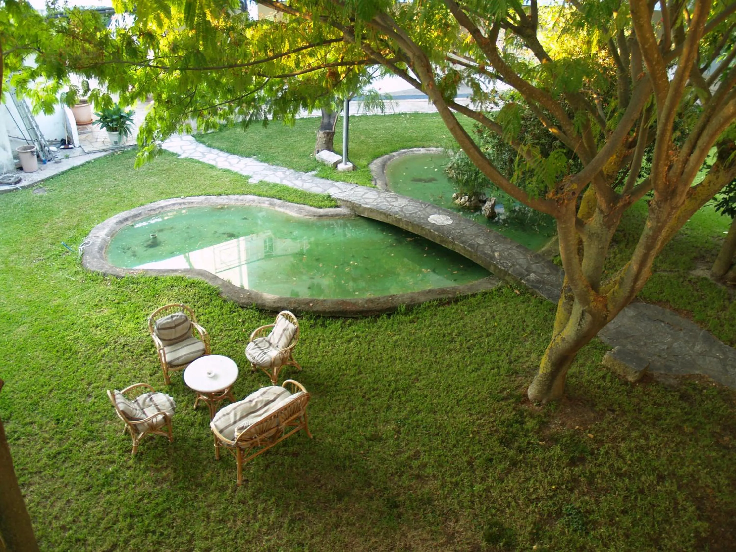 Garden in Hotel Cavo Mytikas