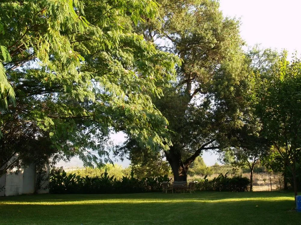 Property building in Hotel Cavo Mytikas