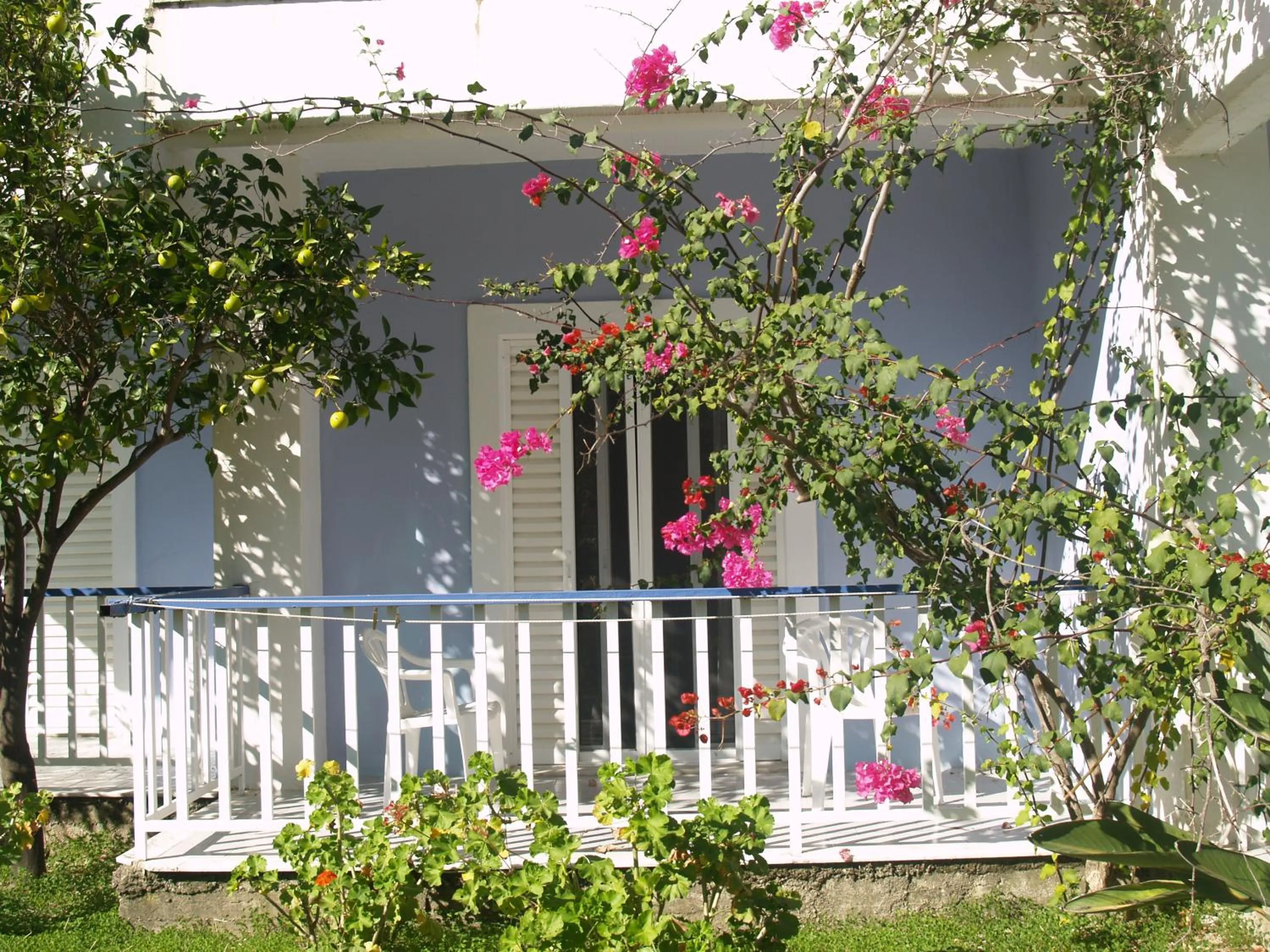 Property building in Hotel Cavo Mytikas