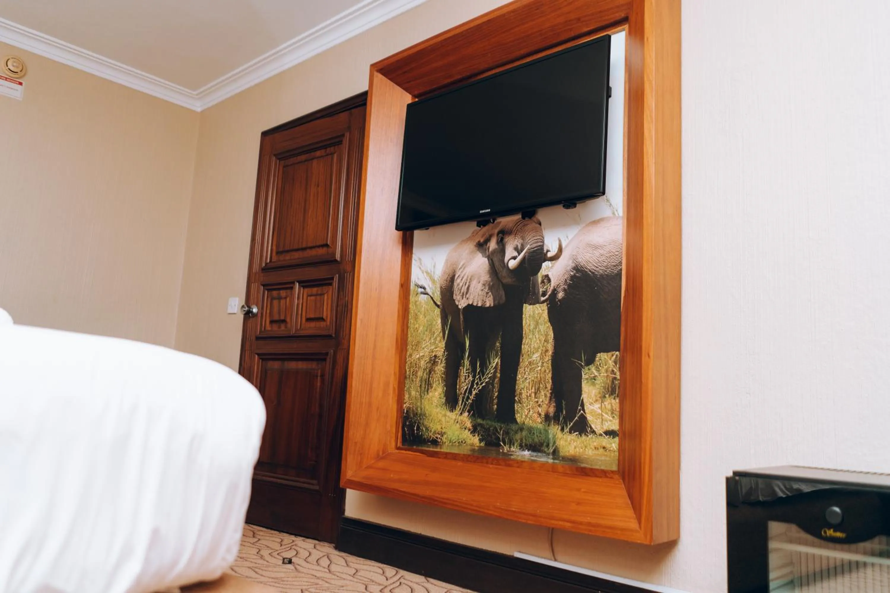 TV and multimedia in Monomotapa