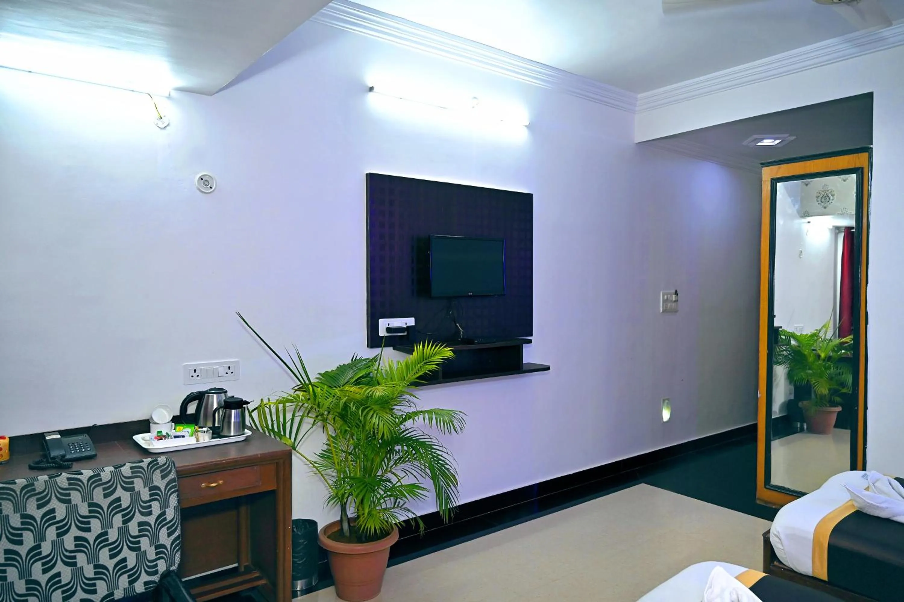 TV and multimedia in Hotel Rajhans International