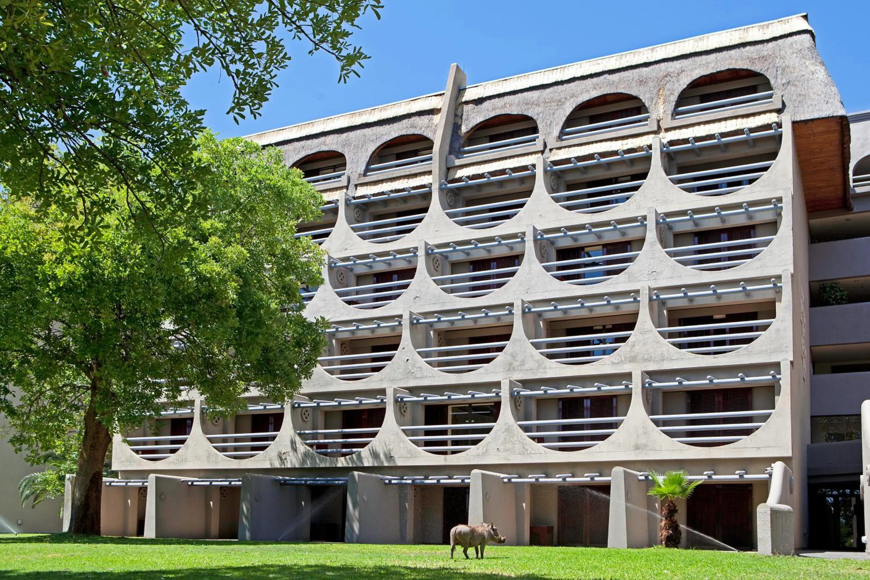 Animals in Elephant Hills Resort