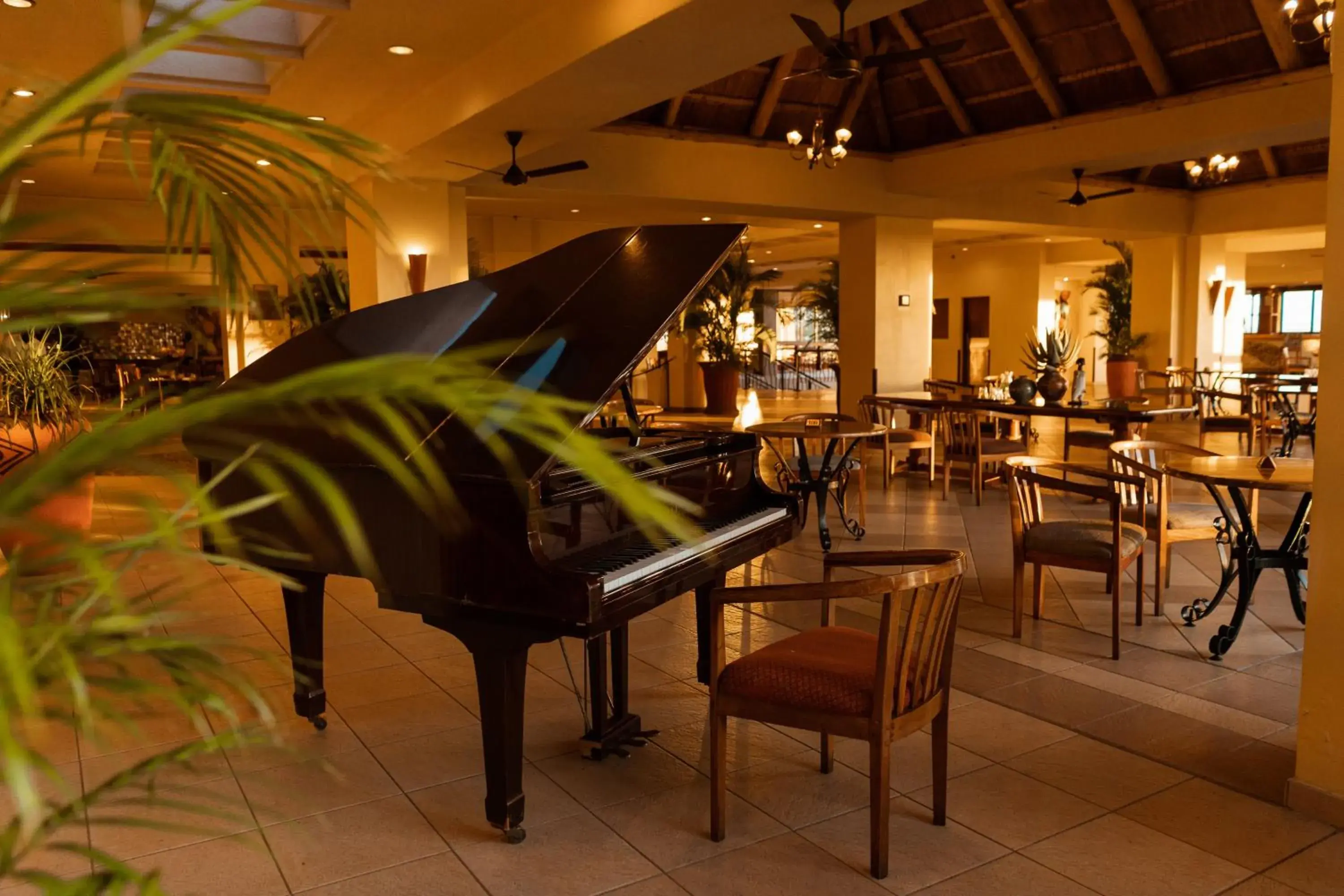 Restaurant/places to eat in Elephant Hills Resort Restaurant/places to eat in Elephant Hills Resort