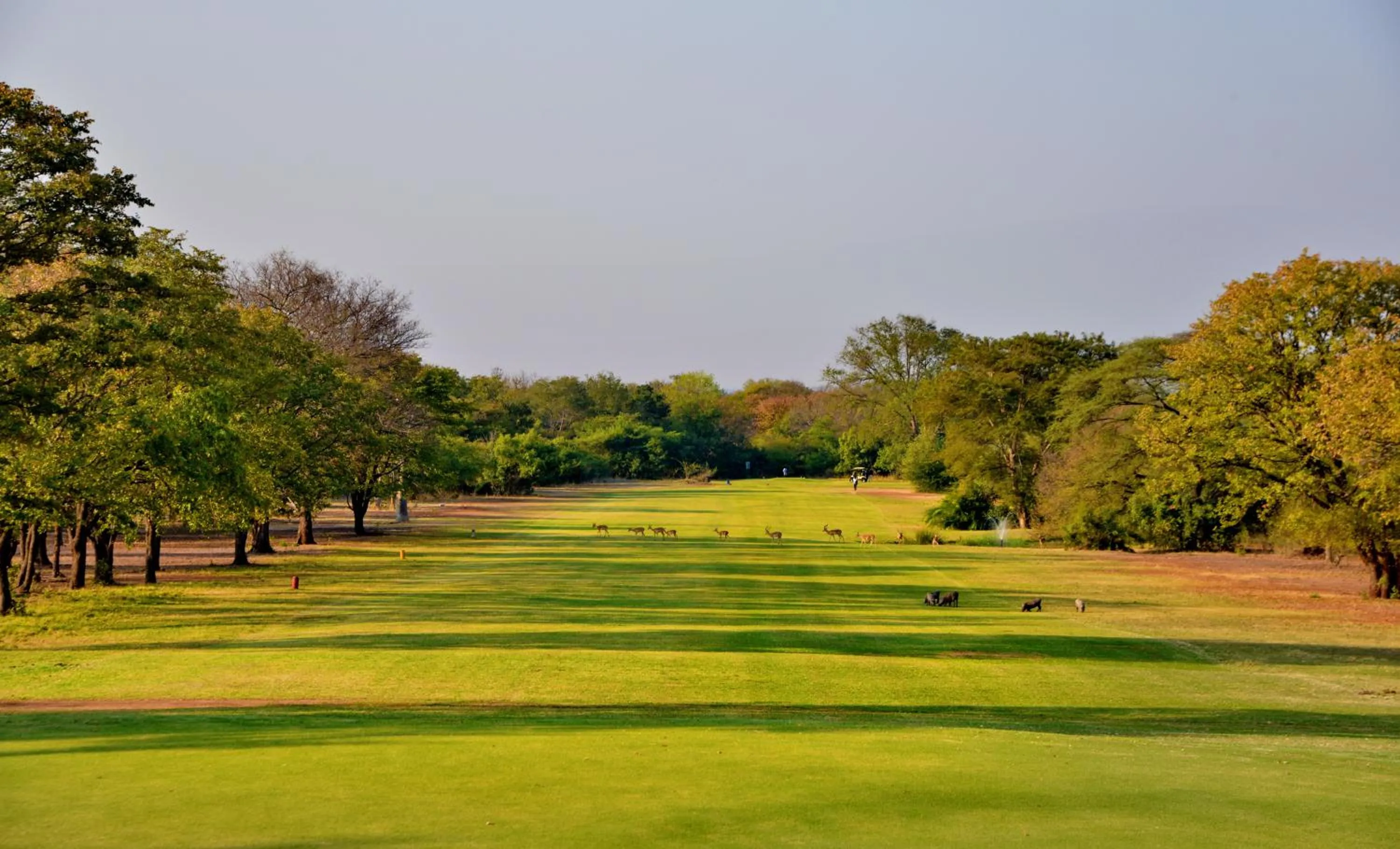 Golfcourse in Elephant Hills Resort
