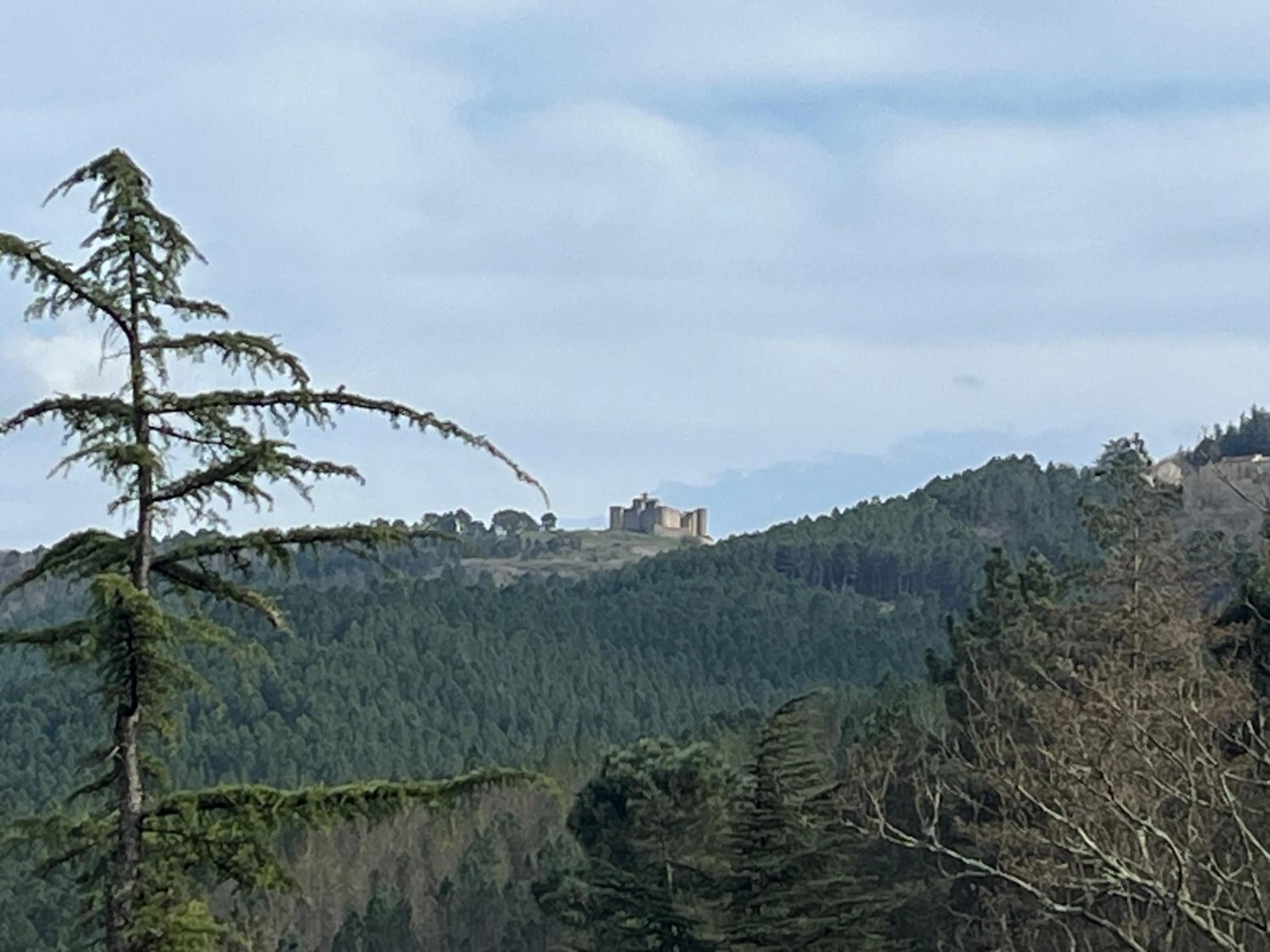 View (from property/room) in Château Lou Cante Perdrix