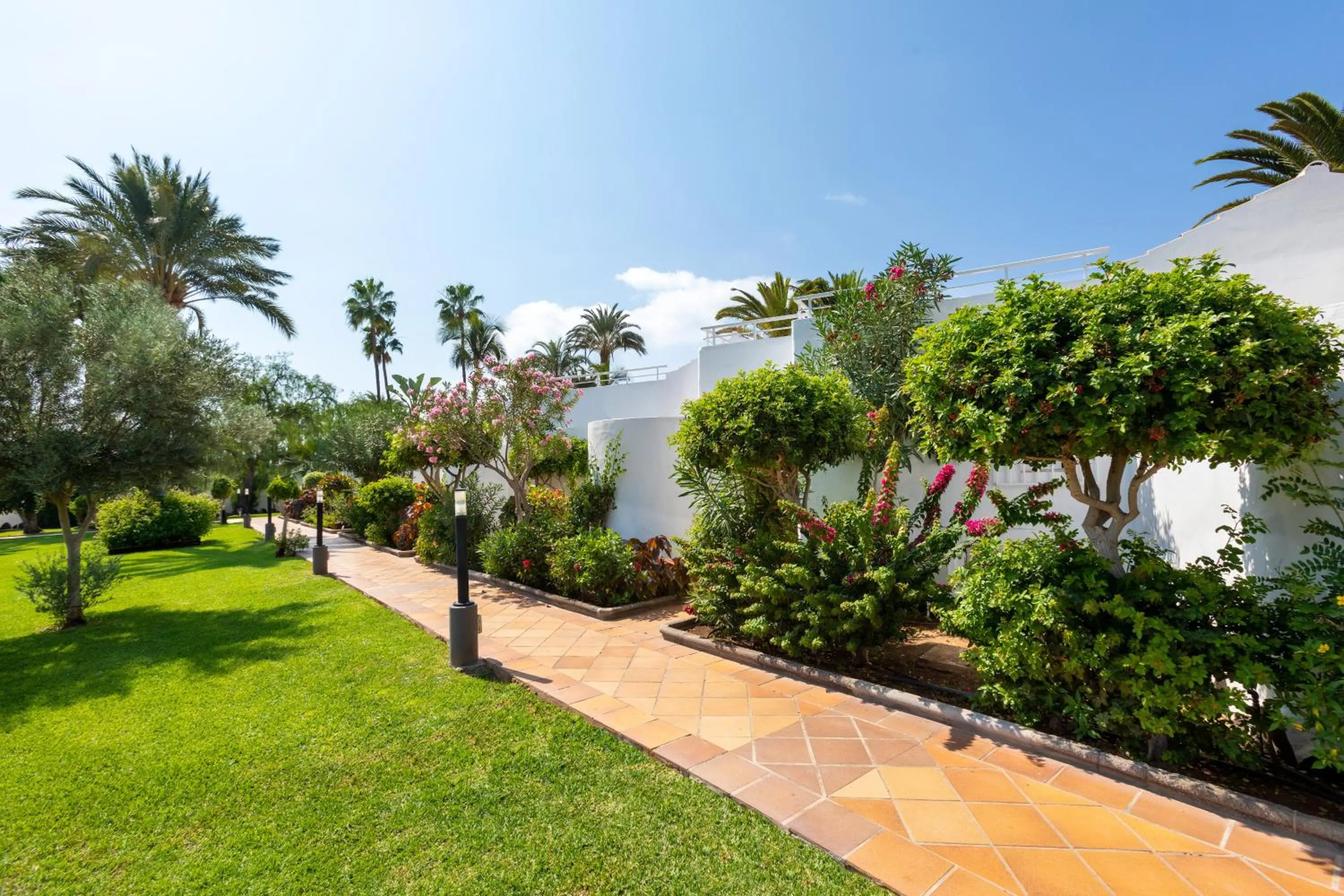 Spring in Sol Barbacan