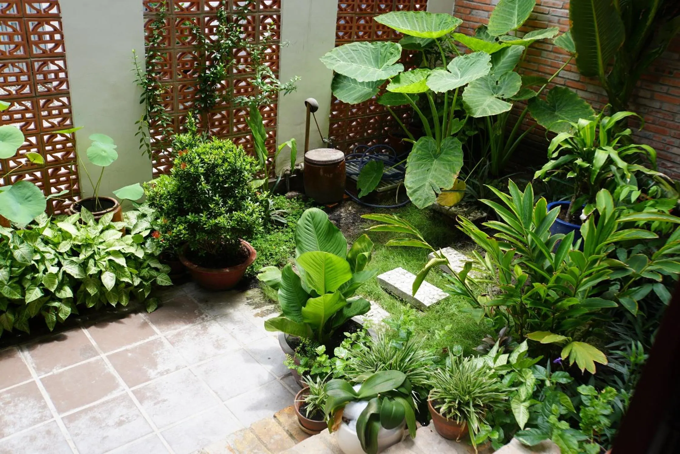 Garden in Ananas Family Hotel