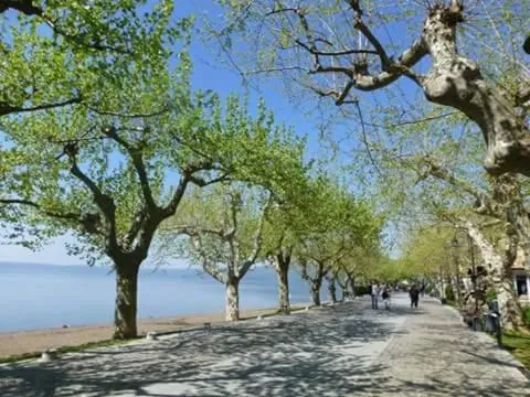 Natural landscape in Il Vicolo