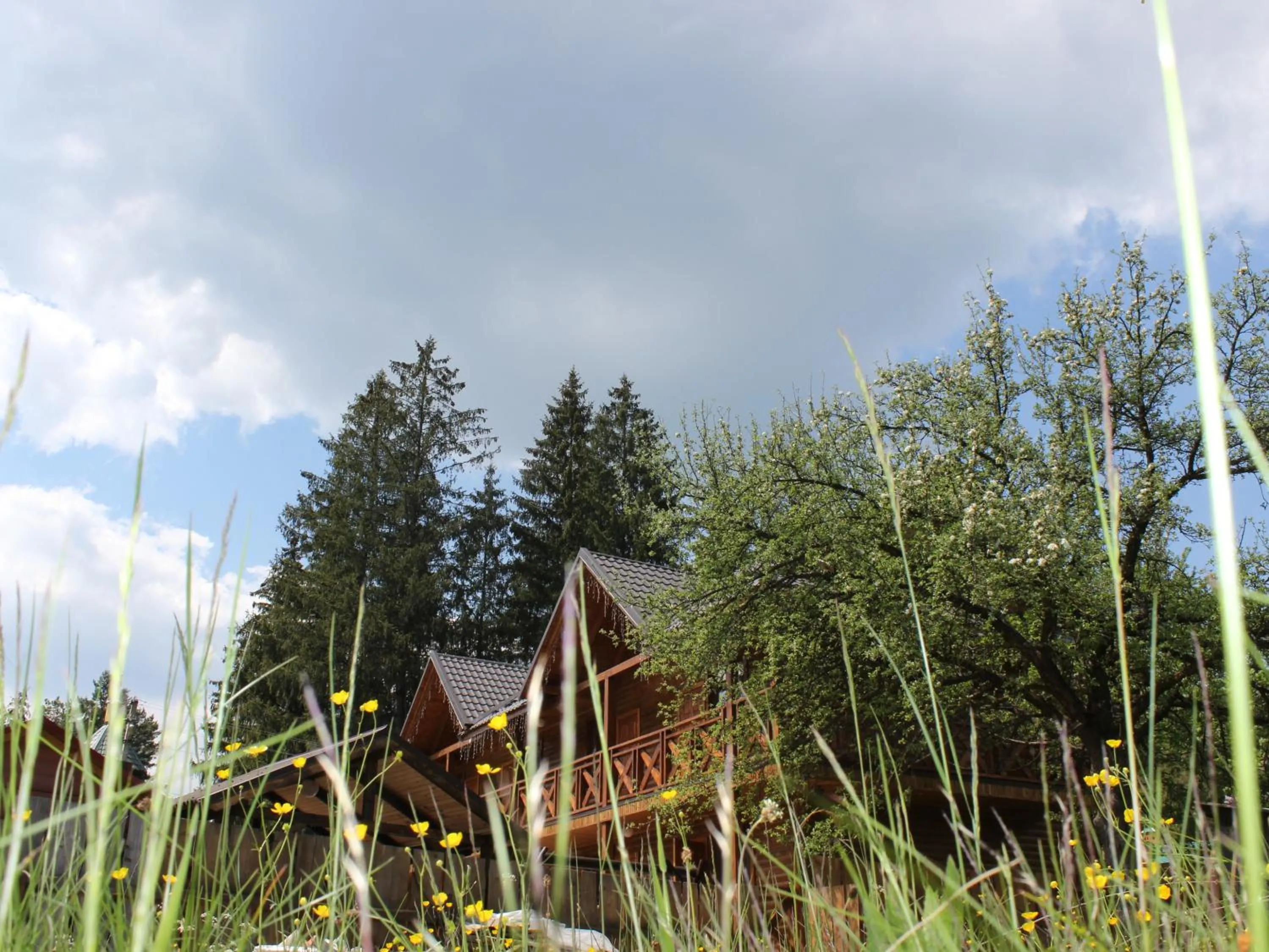 Natural landscape in Krym