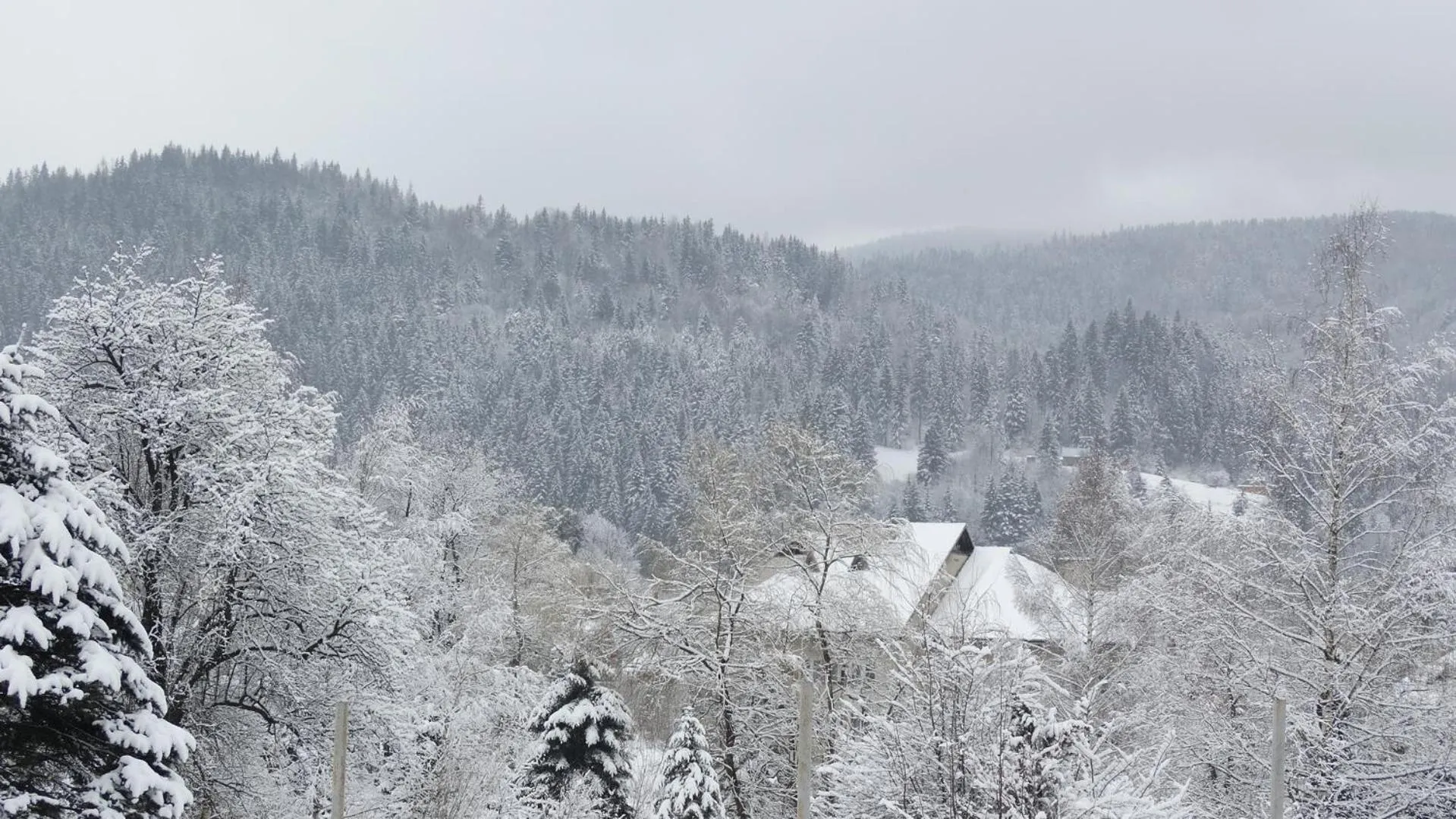 Natural landscape in Krym