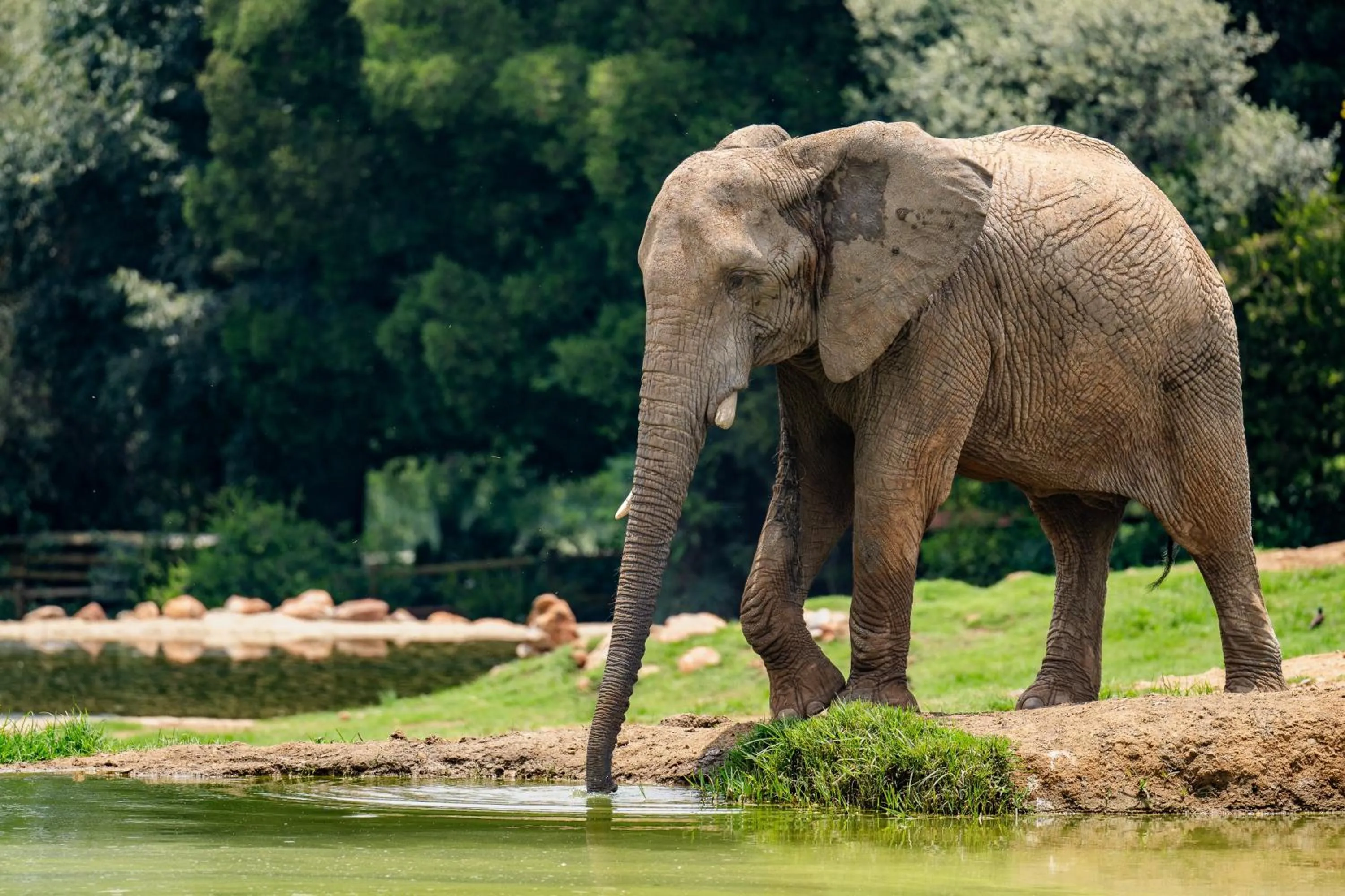 Nearby landmark in Holiday Inn - Johannesburg Sunnyside Park by IHG