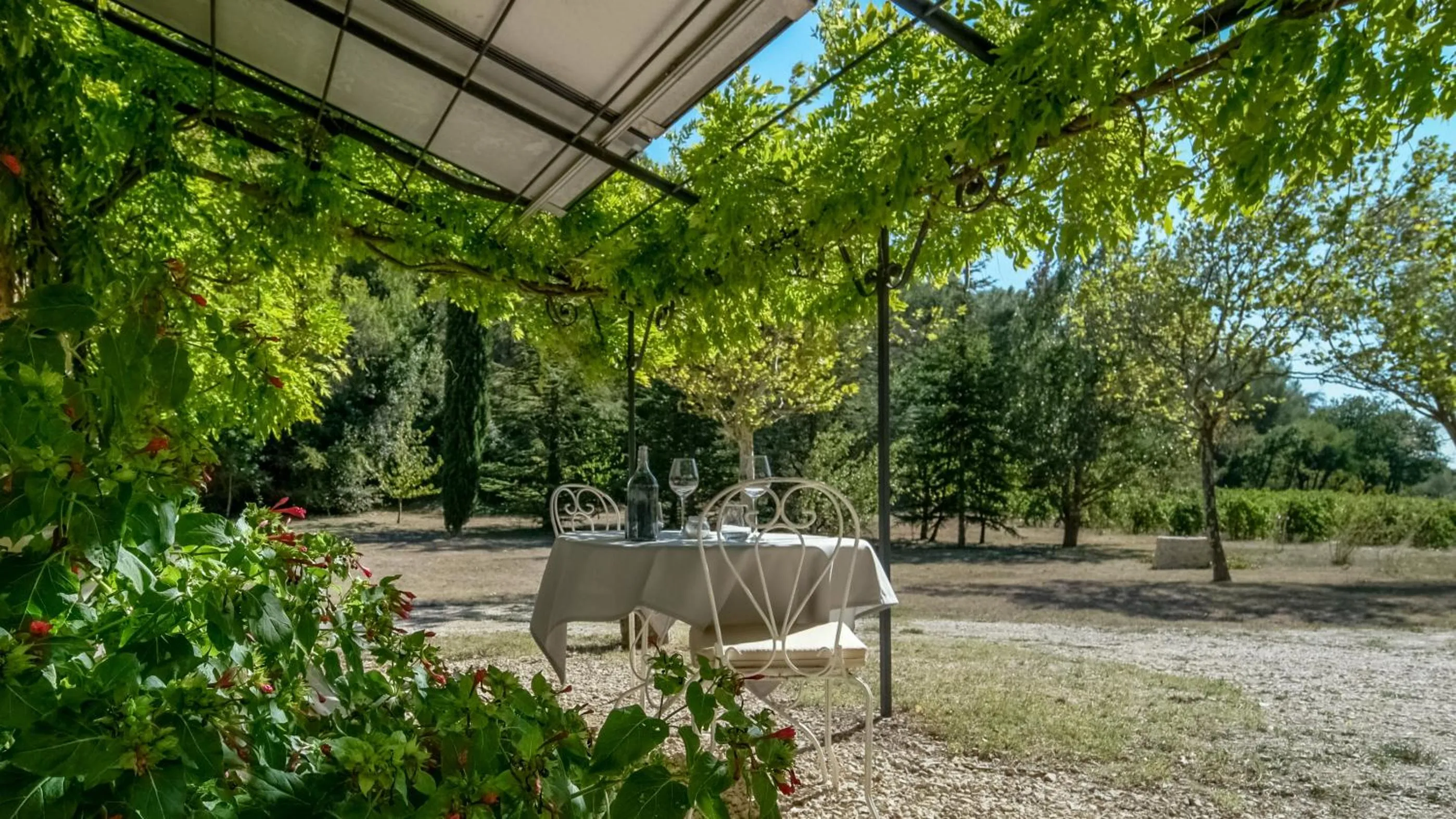 Garden in La Ferme Des Belugues