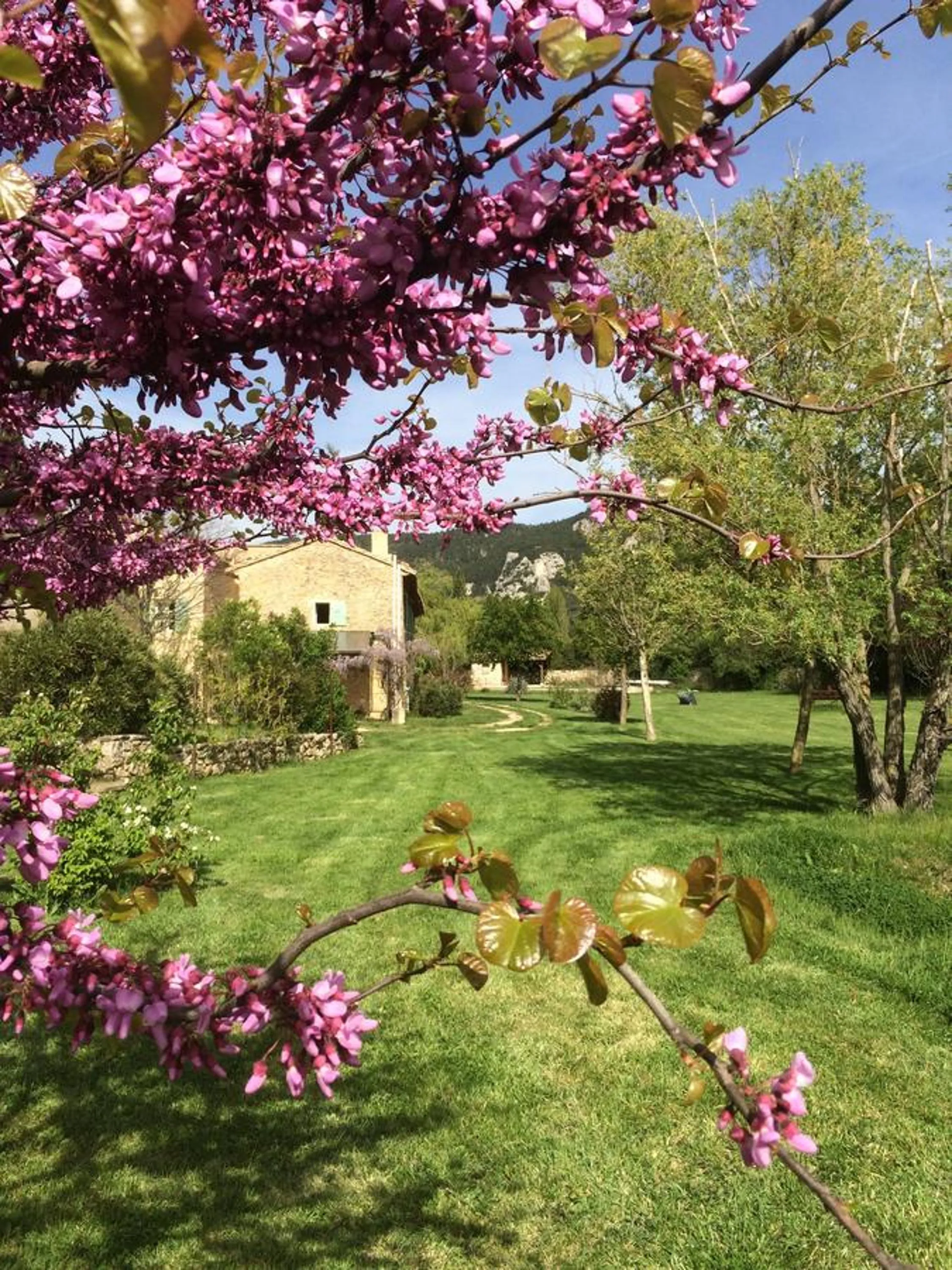 Garden view in La Ferme Des Belugues