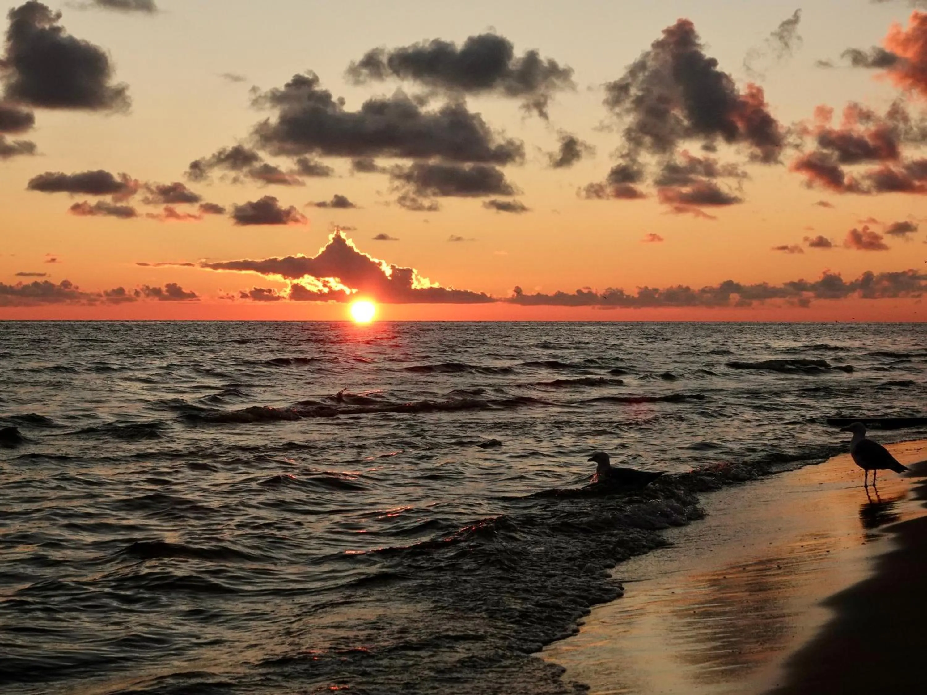 APARTAMENTY MIERZEJA - WILLA TURKUSOWA, Kąty Rybackie