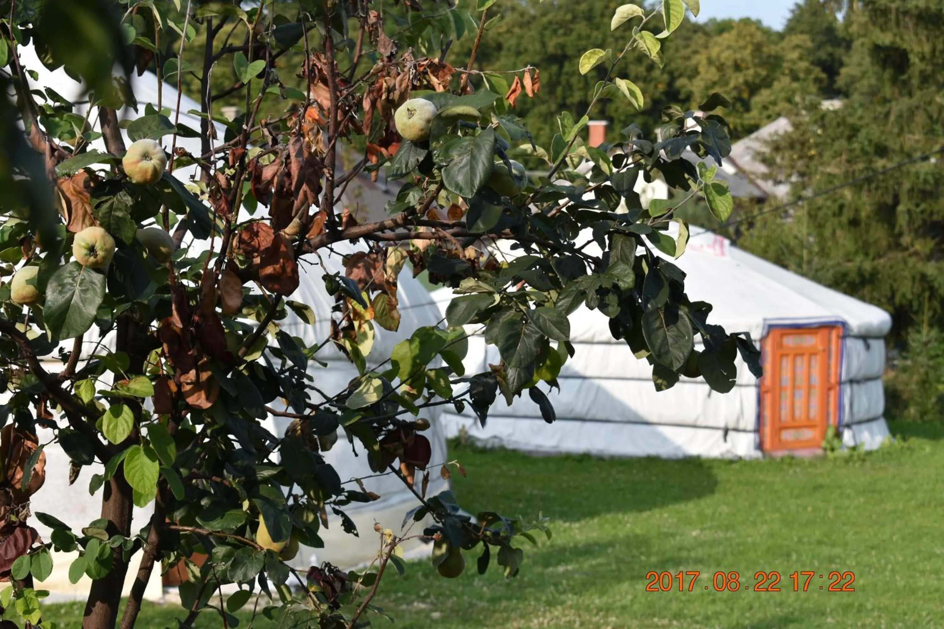 Bagolyvár Fogadó- Újfalusy Márton Vendégház
