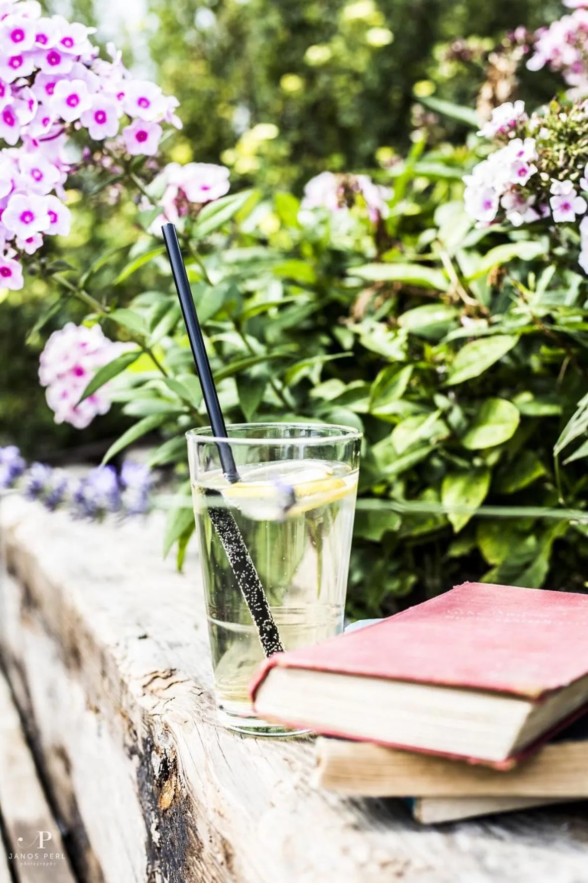 Bagolyvár Fogadó- Újfalusy Márton Vendégház