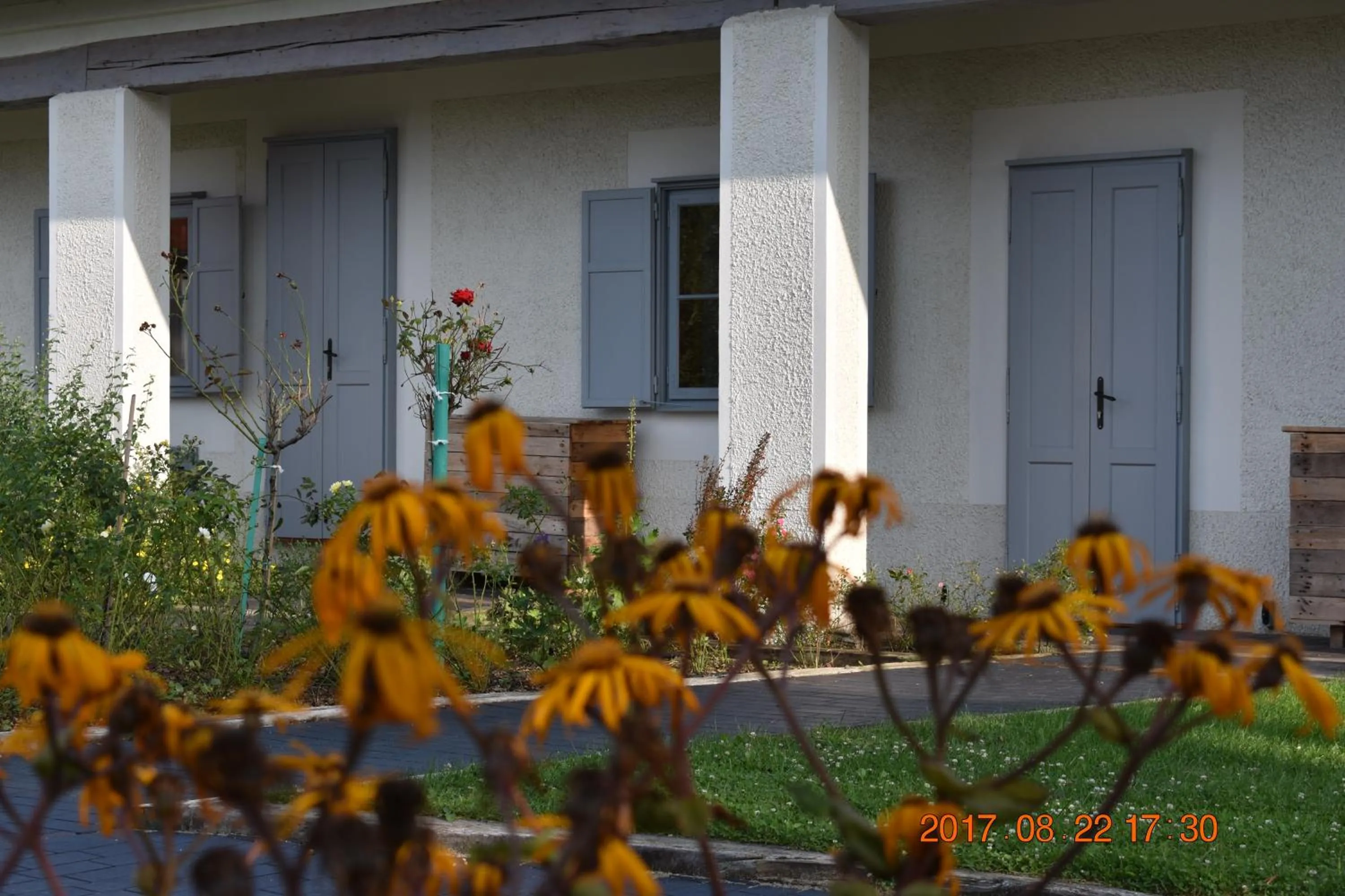 Bagolyvár Fogadó- Újfalusy Márton Vendégház