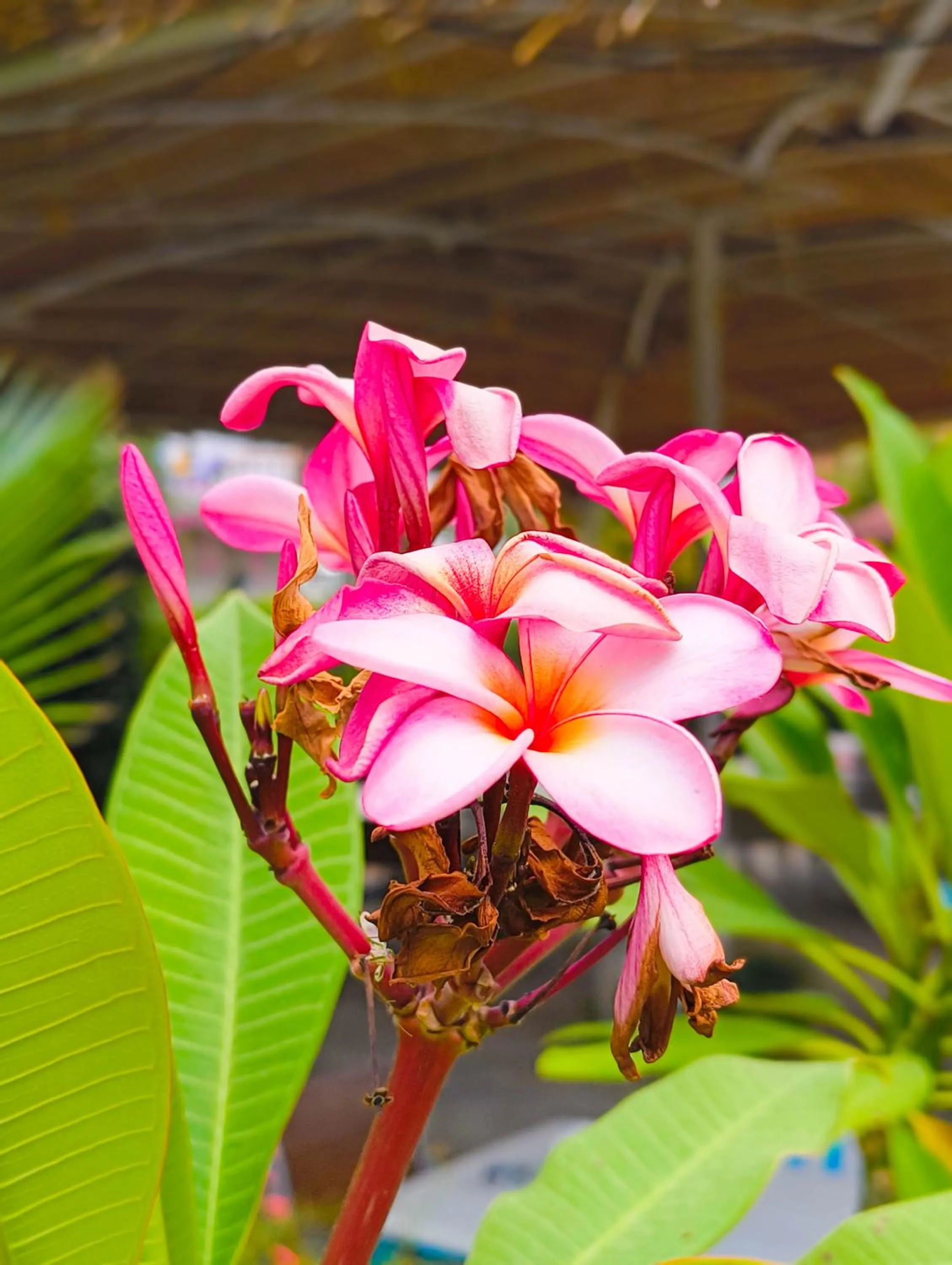 Erendiz Garden Hotel