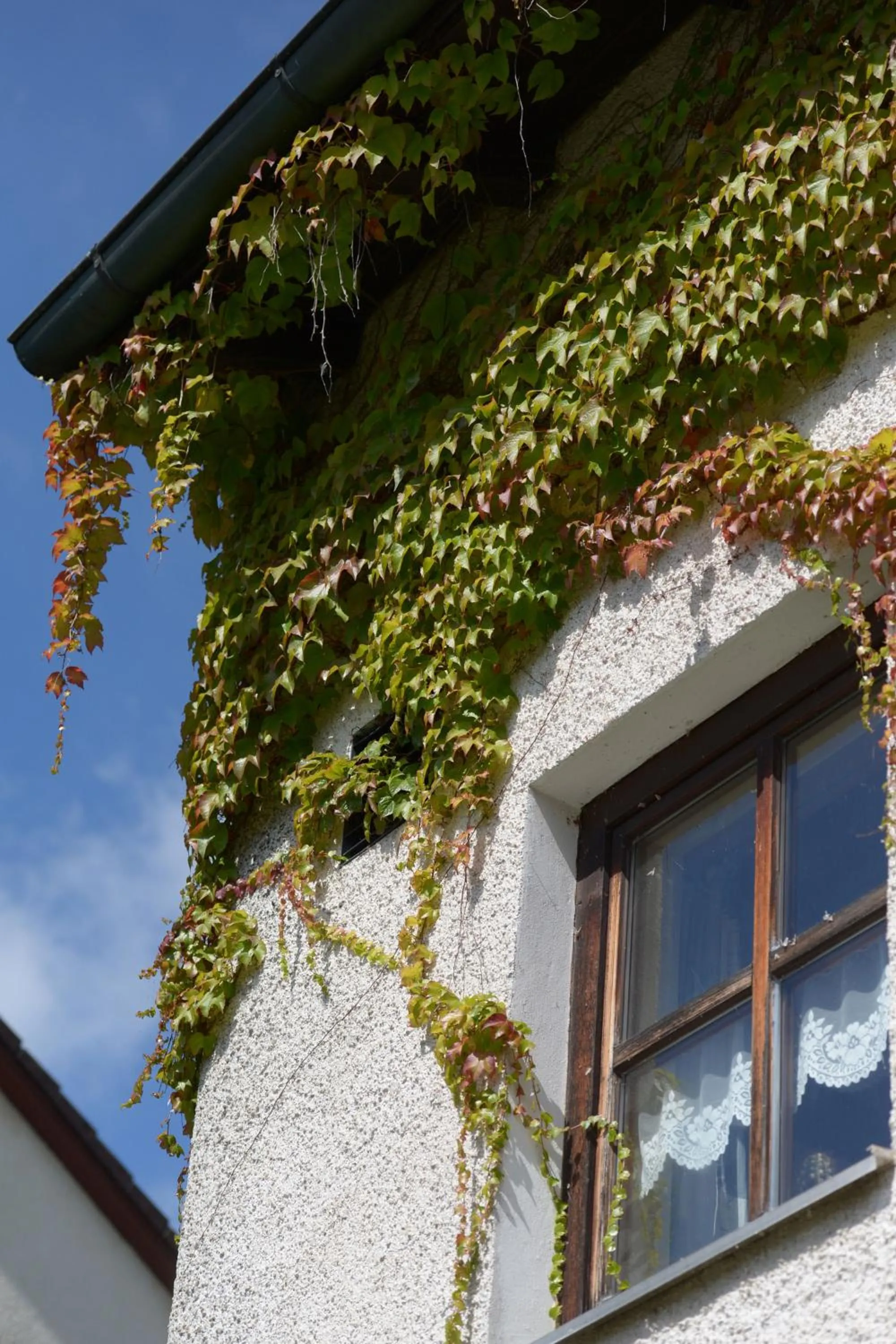 Day in Hotel am Regenbogen