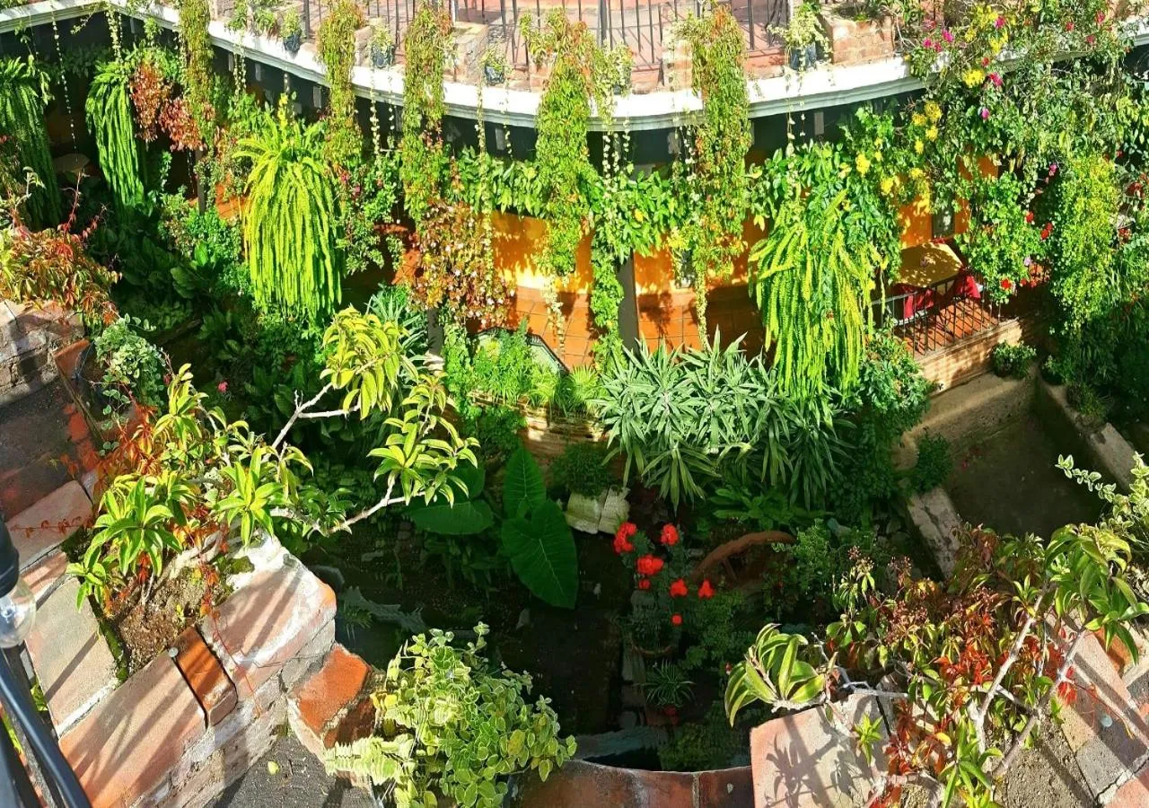 Garden in Hotel Eterna Primavera Antigua