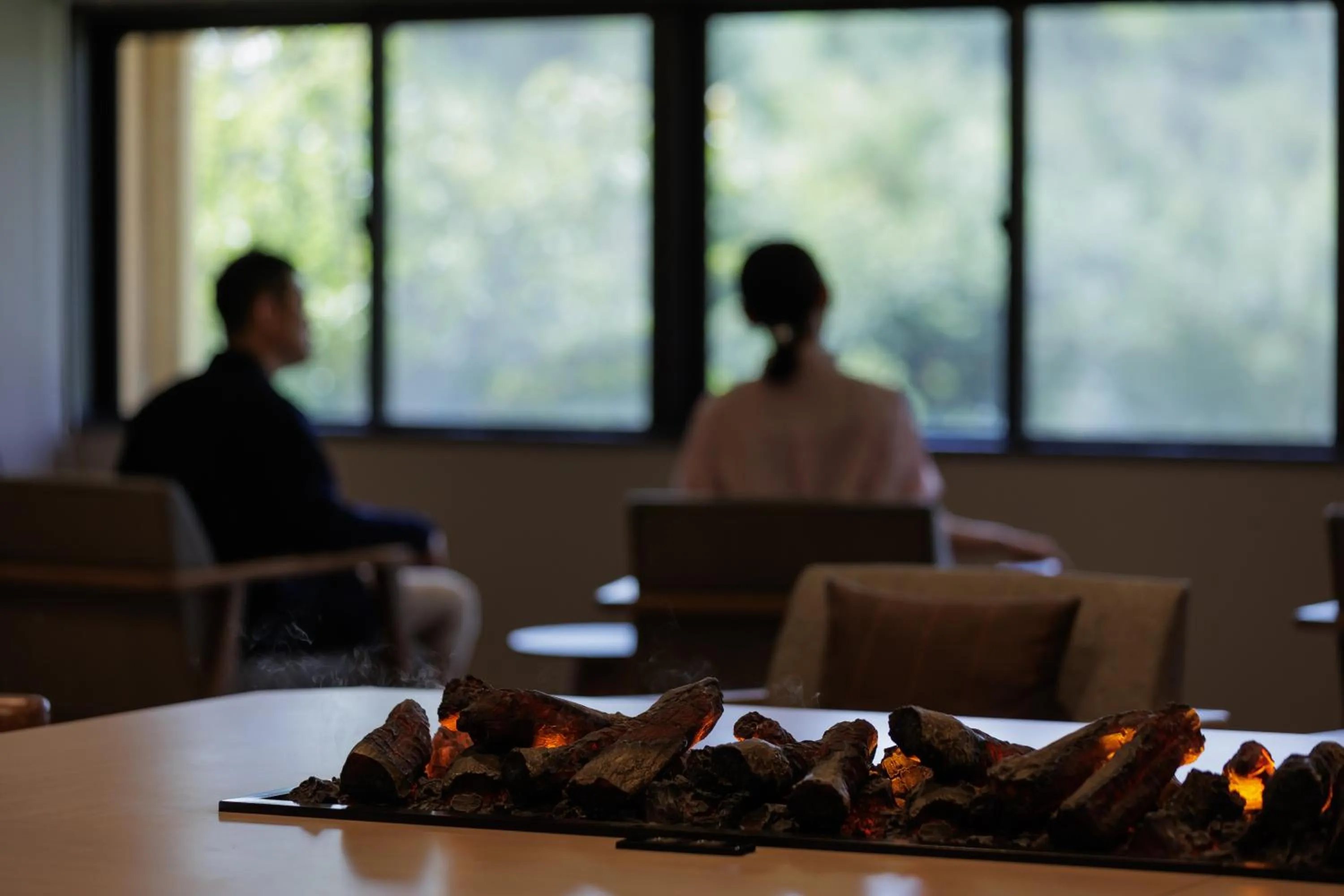 Lounge or bar in Tazawako Lake Resort & Onsen