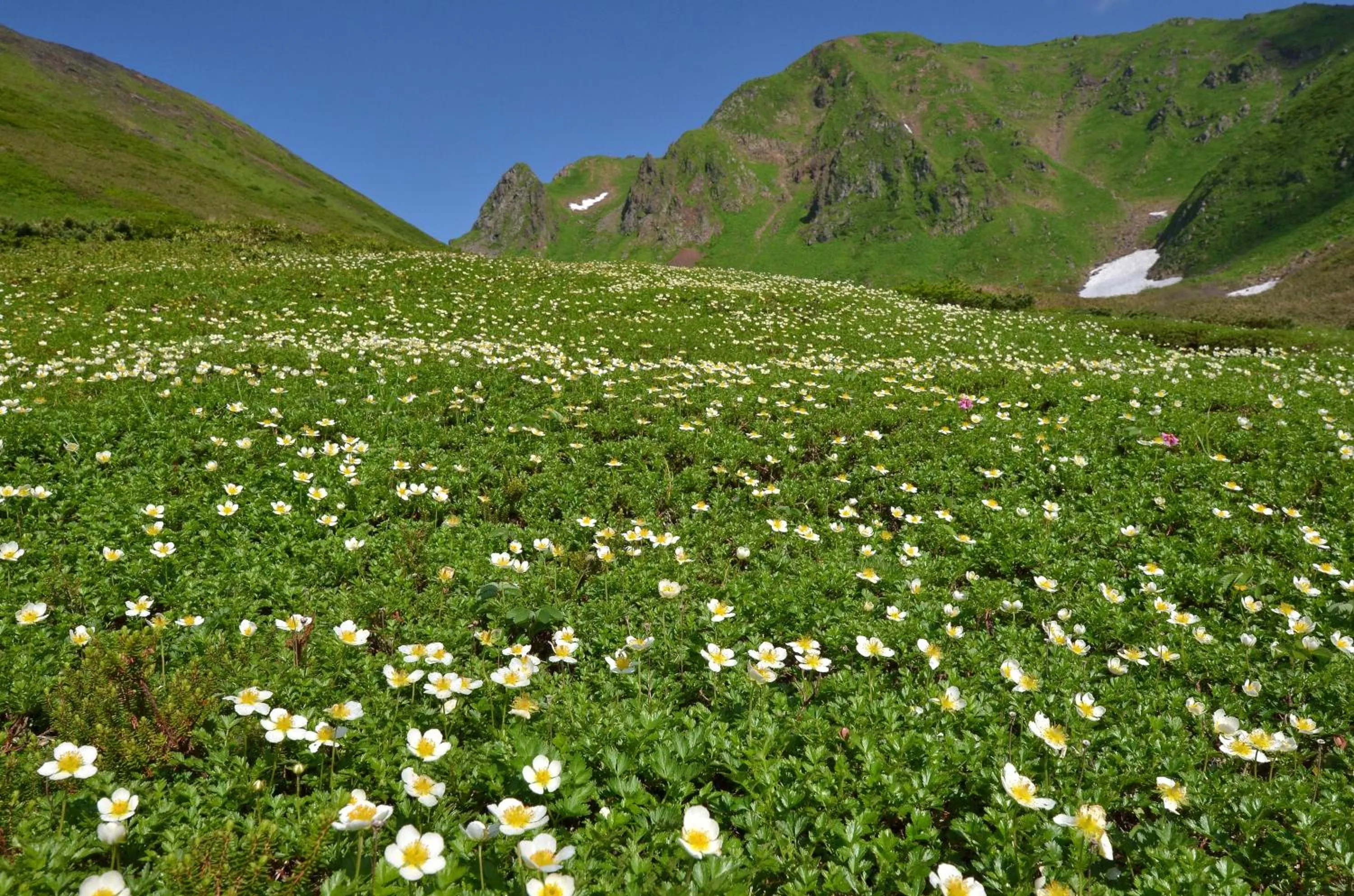 Nearby landmark in Tazawako Lake Resort & Onsen