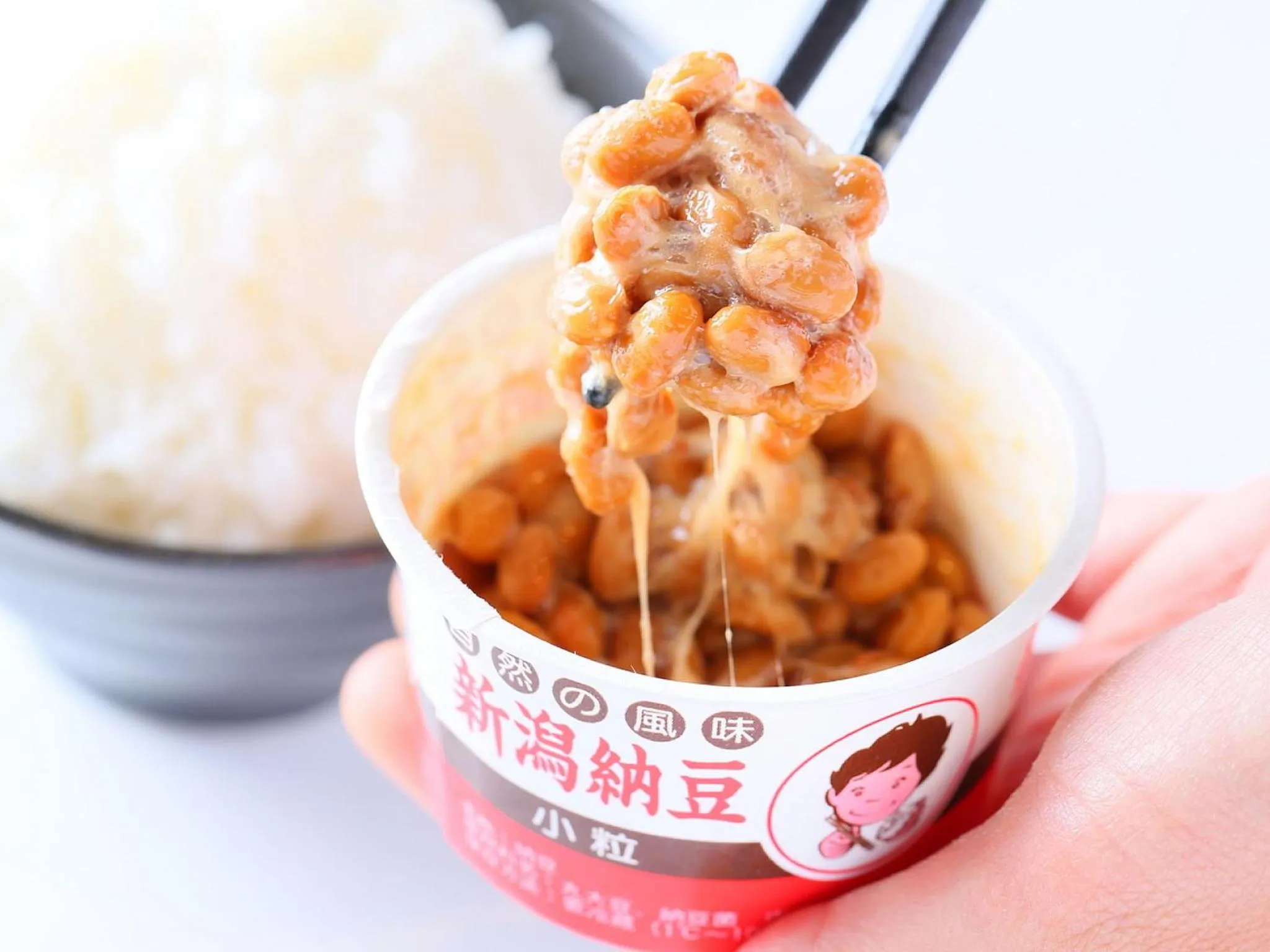 Food close-up in Juraku Stay Niigata