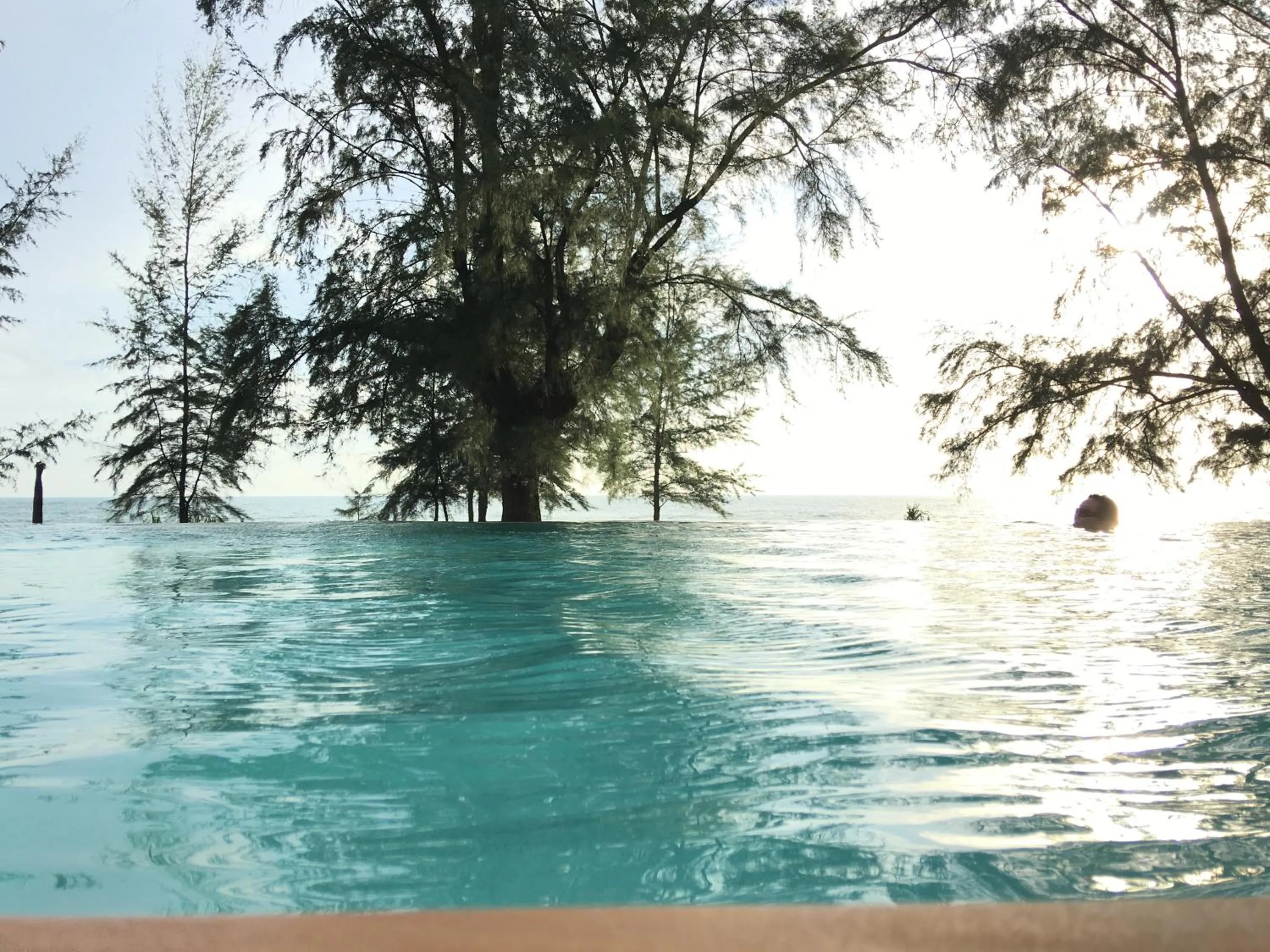 Swimming pool in Coriacea Beachfront Boutique Phuket Resort