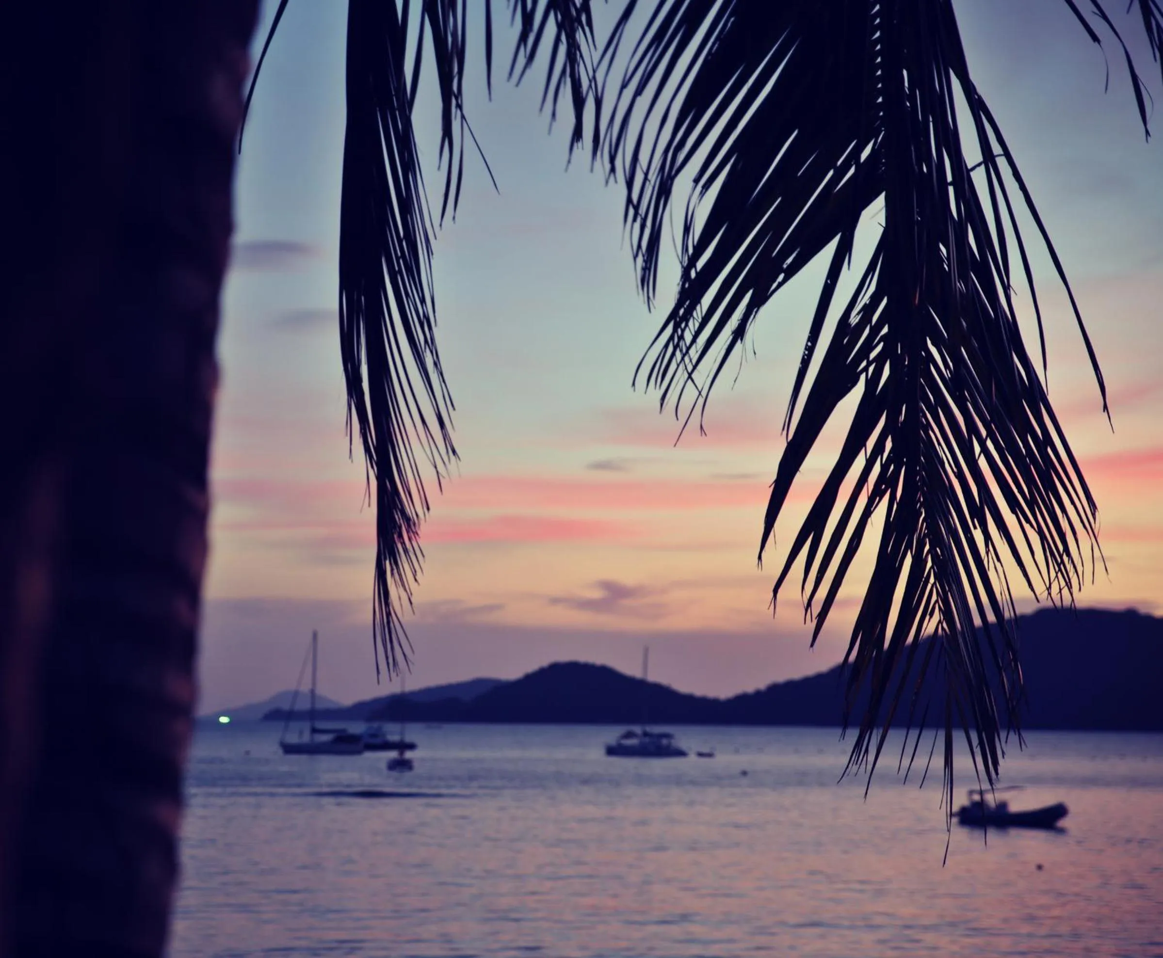 Natural landscape in The Cove