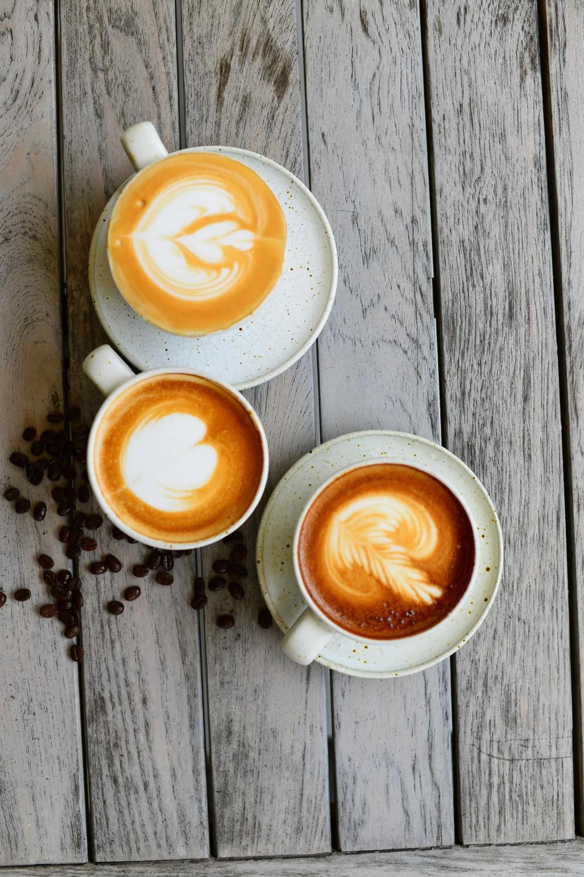 Coffee/tea facilities in The Cove
