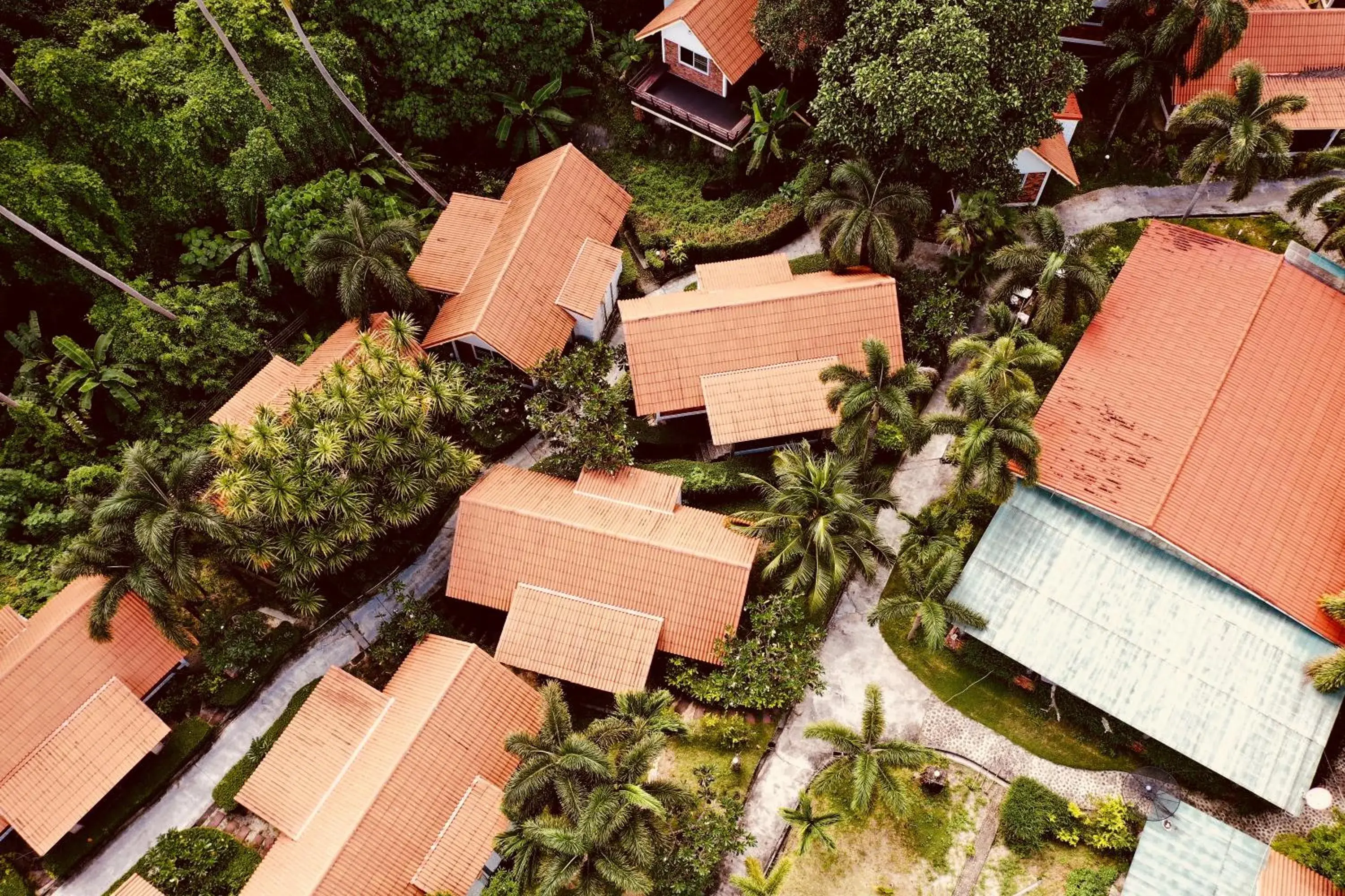 Deluxe Bungalow with Garden View in Adang Island Resort Deluxe Bungalow with Garden View in Adang Island Resort