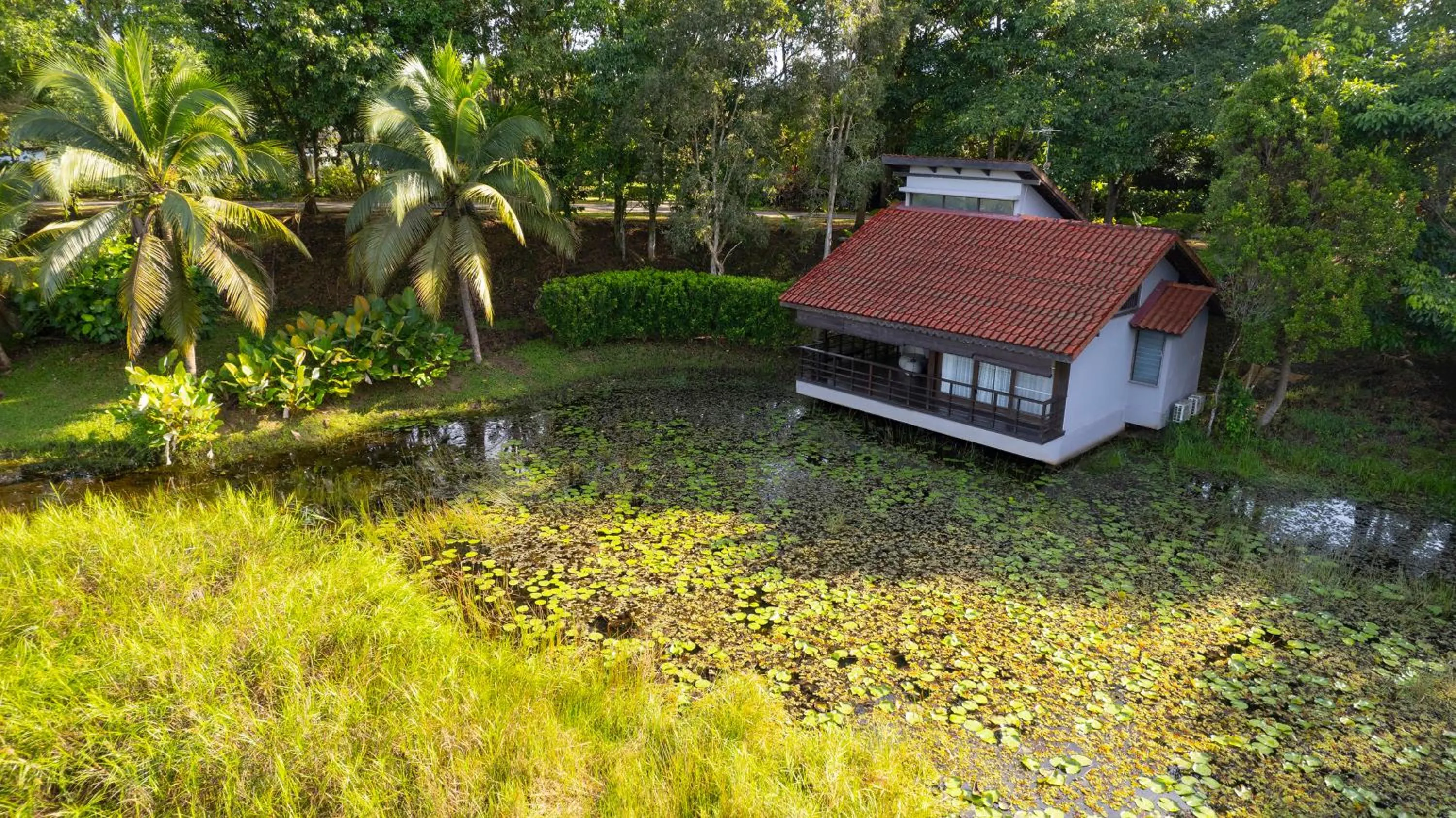 View (from property/room) in Mangala Estate Boutique Resort - Small Luxury Hotels of the World