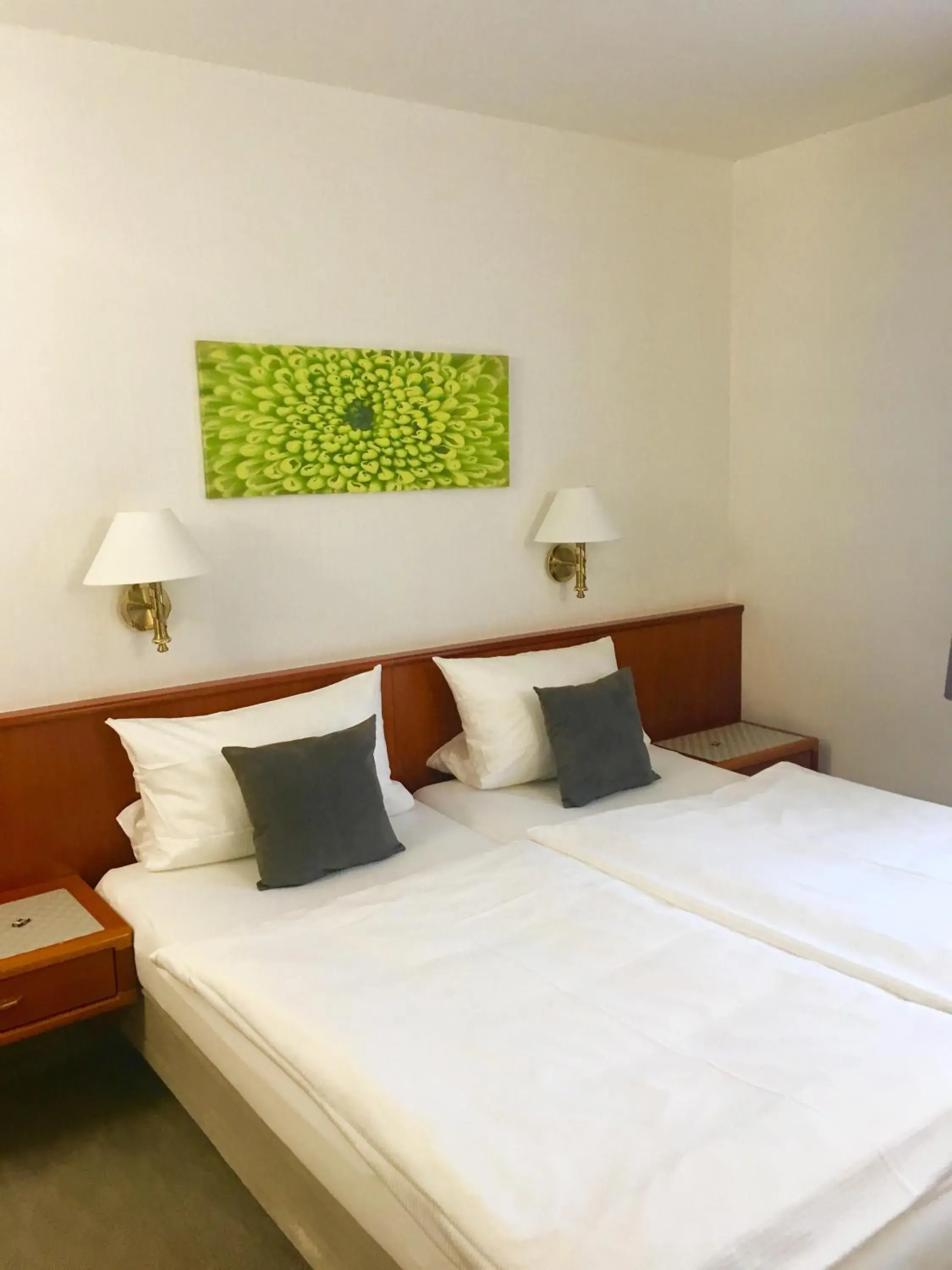 Double Room in Hotel Garni Vierjahreszeiten Double Room in Hotel Garni Vierjahreszeiten