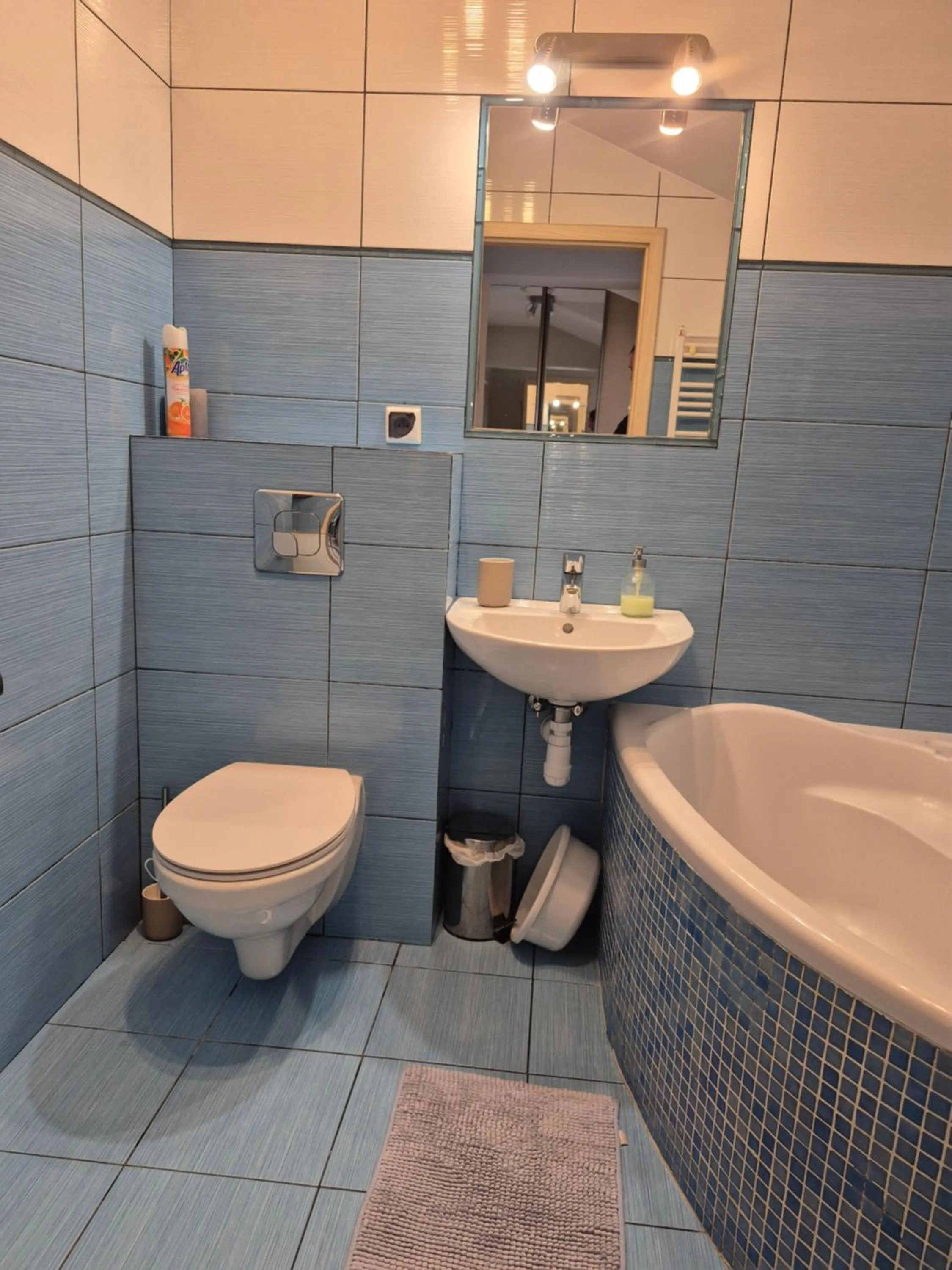 Toilet in Apartament Pod Platanami