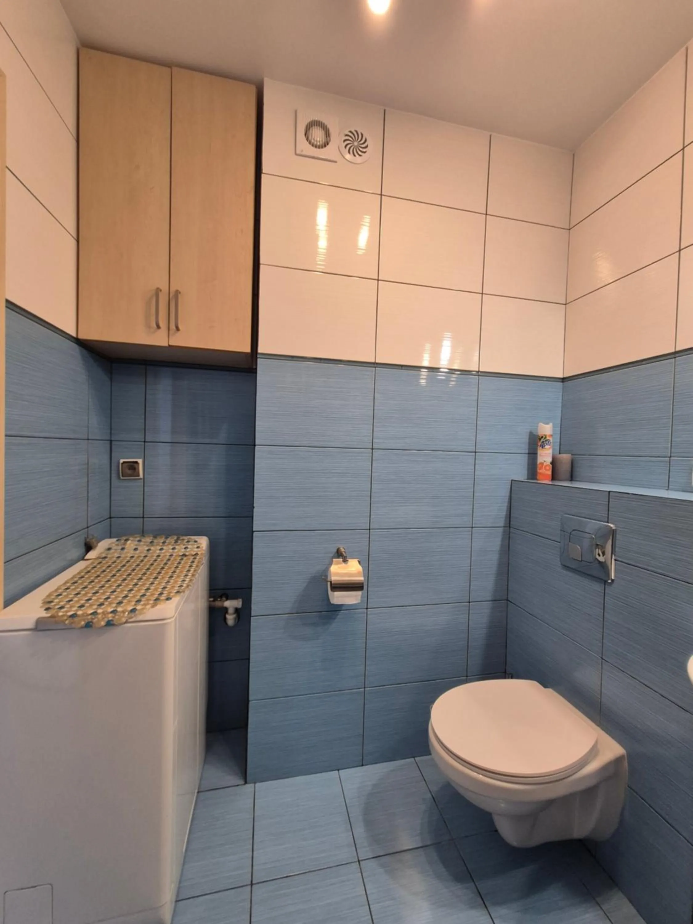 Toilet in Apartament Pod Platanami