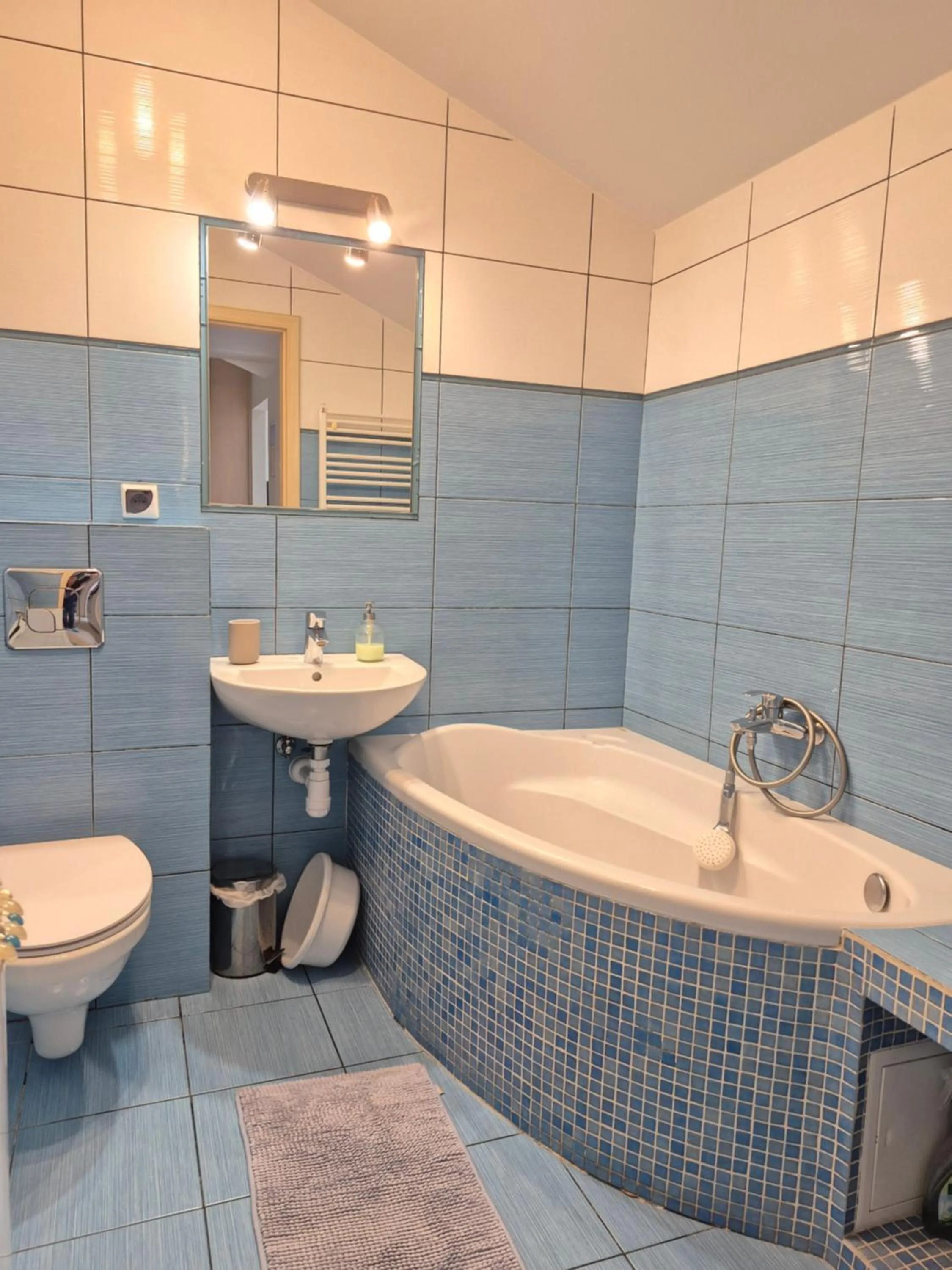 Toilet in Apartament Pod Platanami
