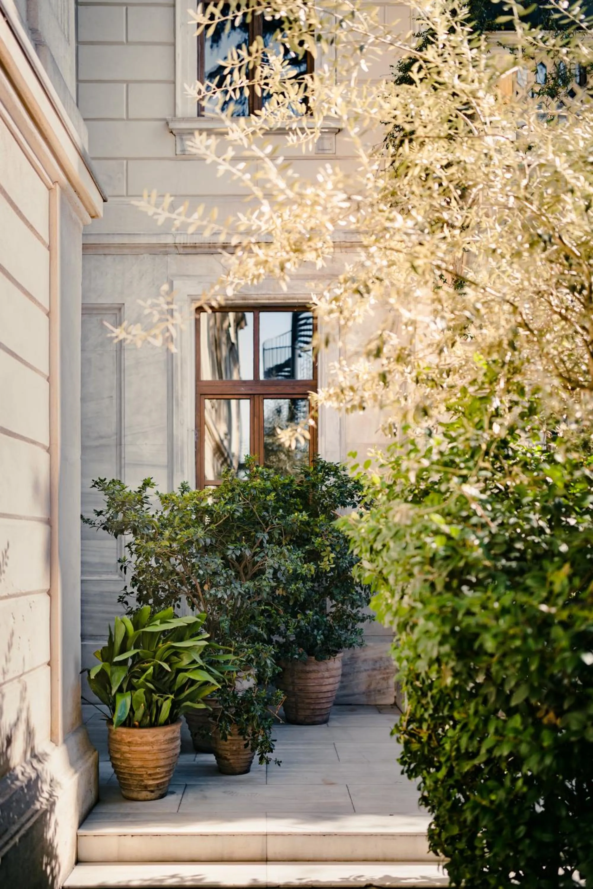 Garden in Soho House Istanbul