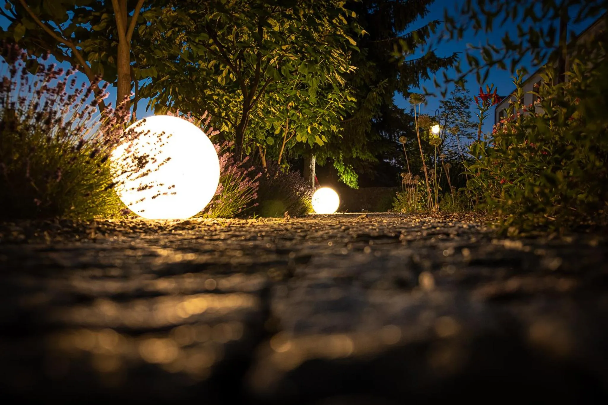 Garden in Cicha Zdrój