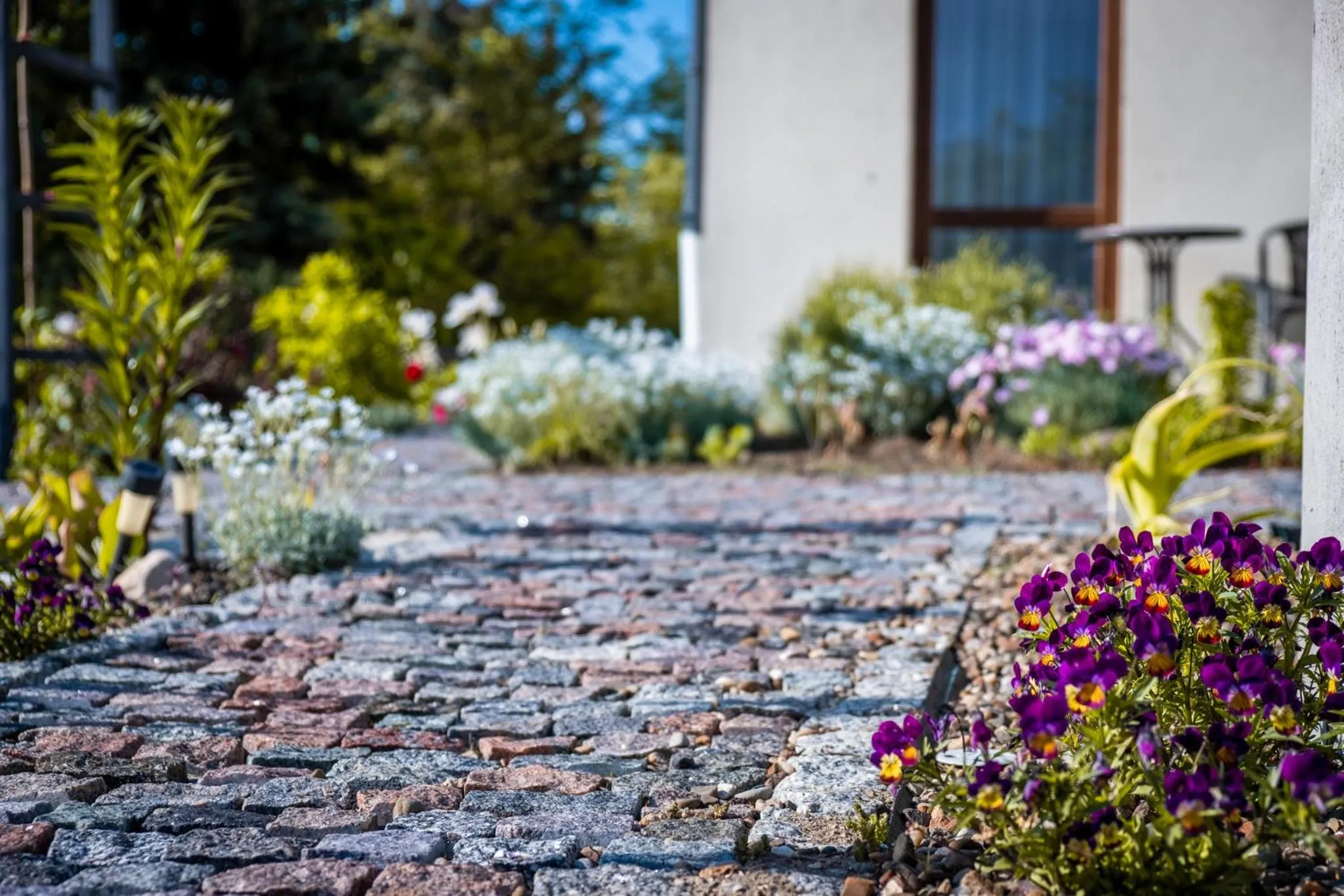 Garden in Cicha Zdrój