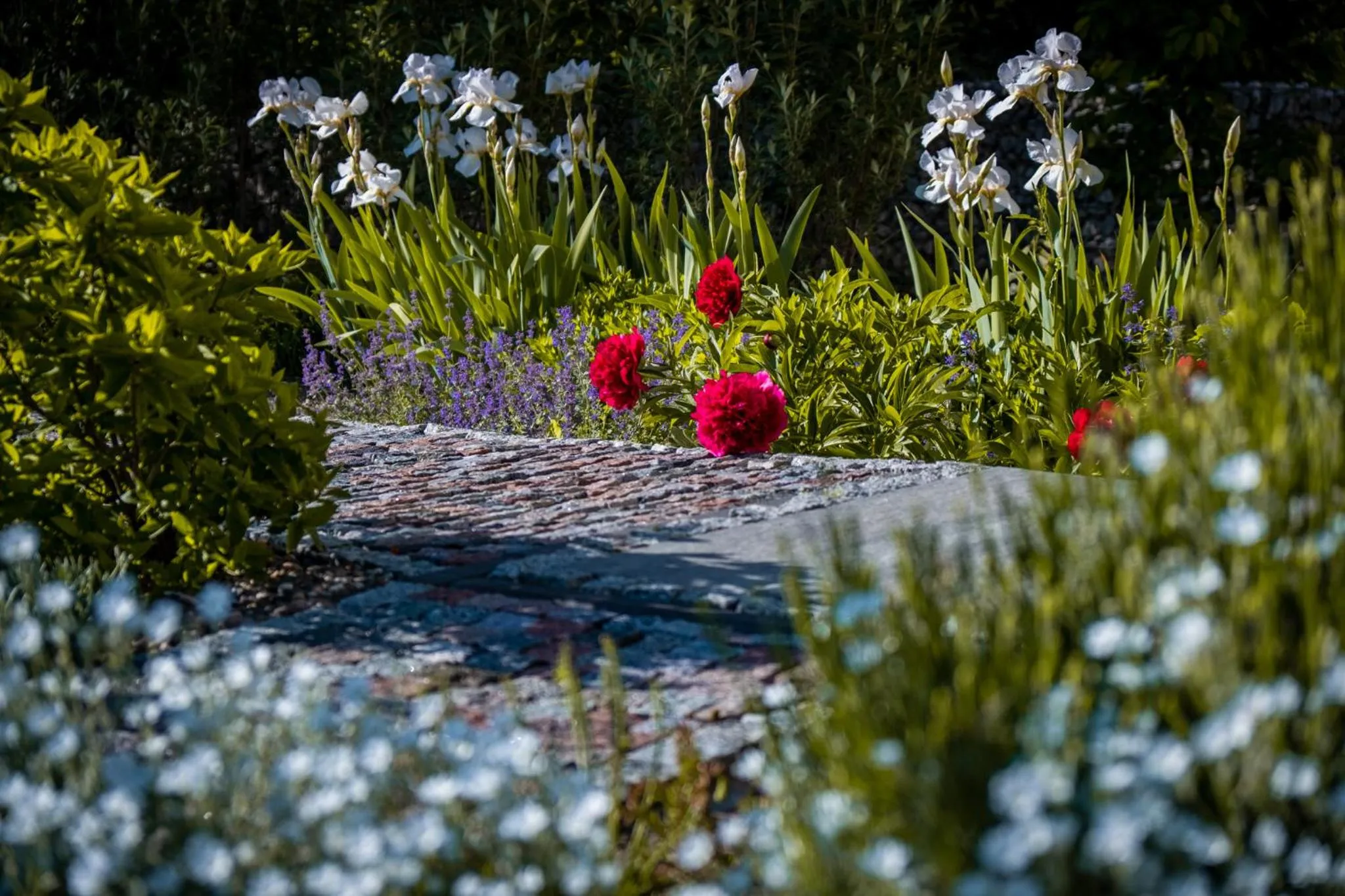 Natural landscape in Cicha Zdrój