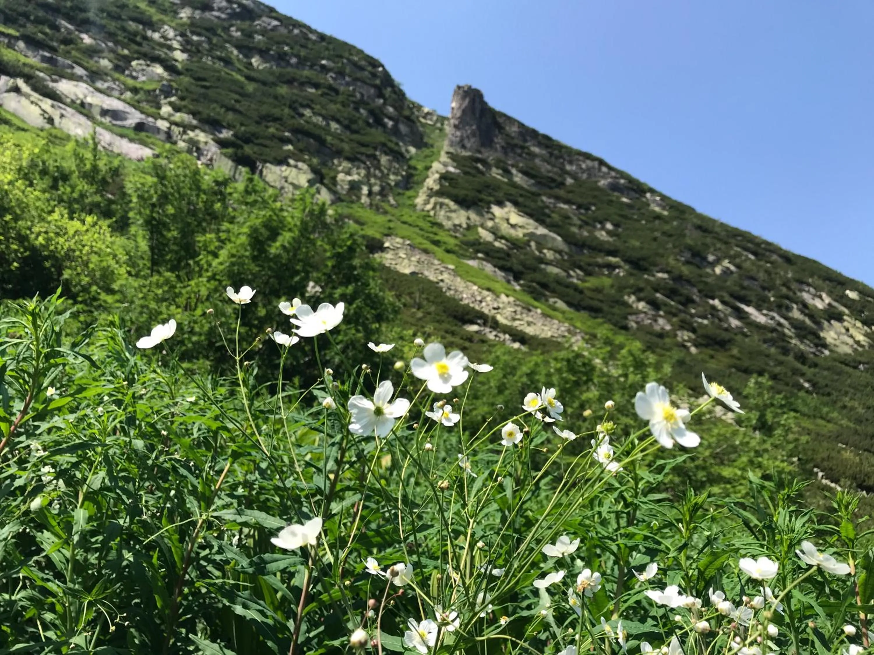 Natural landscape in Apartament Rest & Ski
