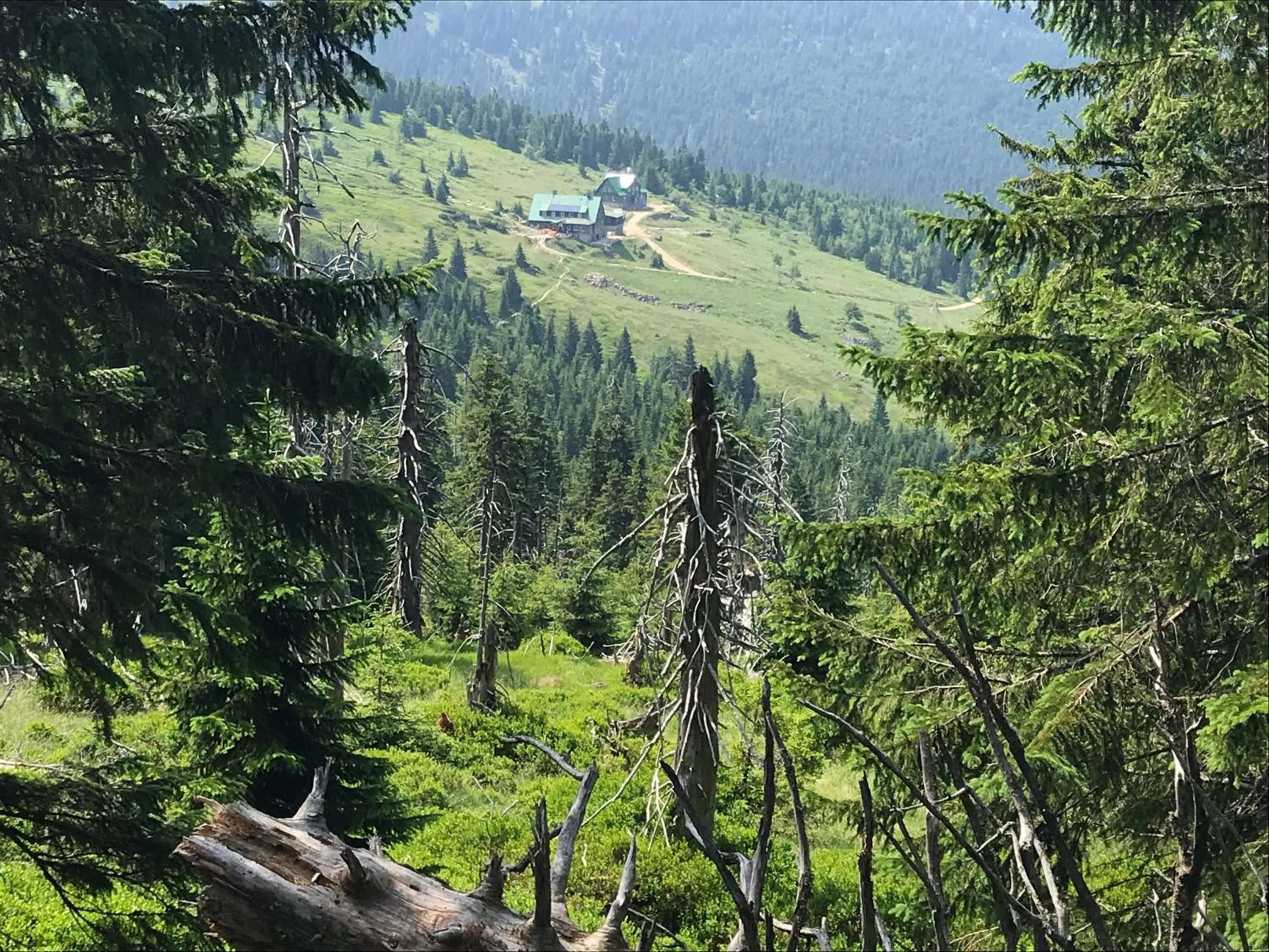 Natural landscape in Apartament Rest & Ski
