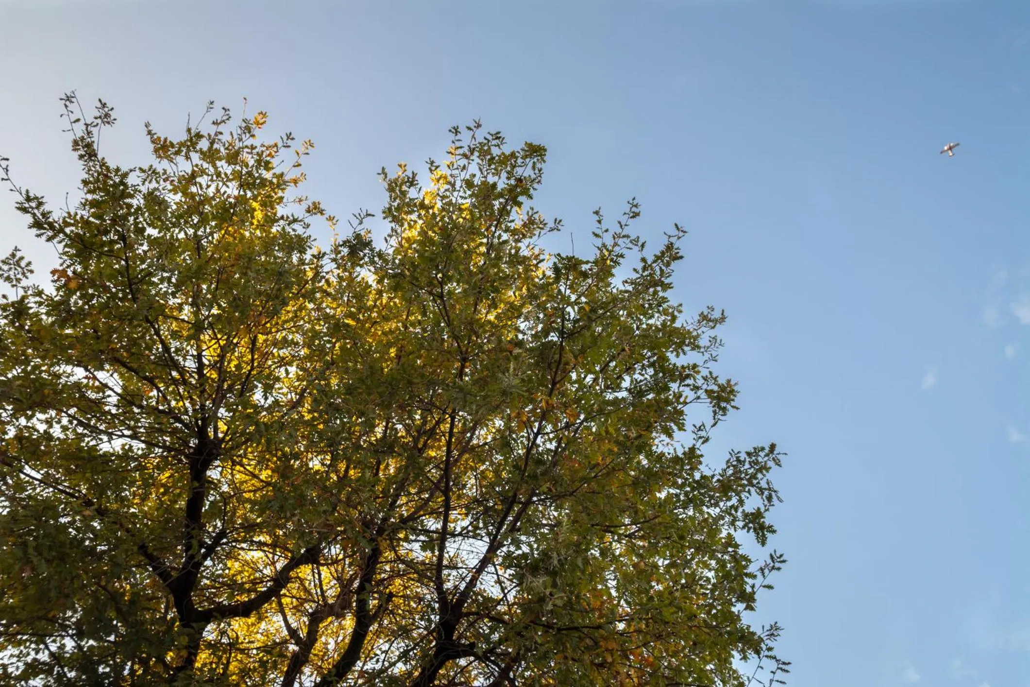 Other in B&B Le Querce