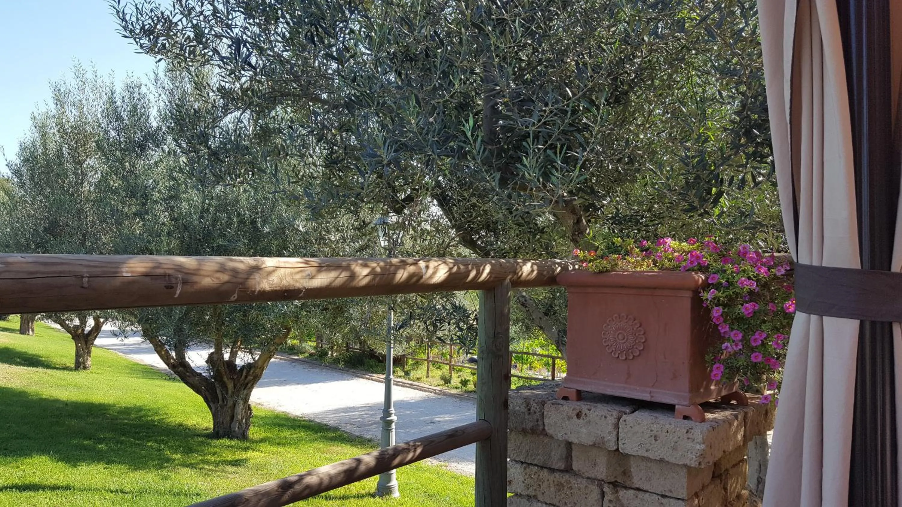 Decorative detail in Aquilamaior