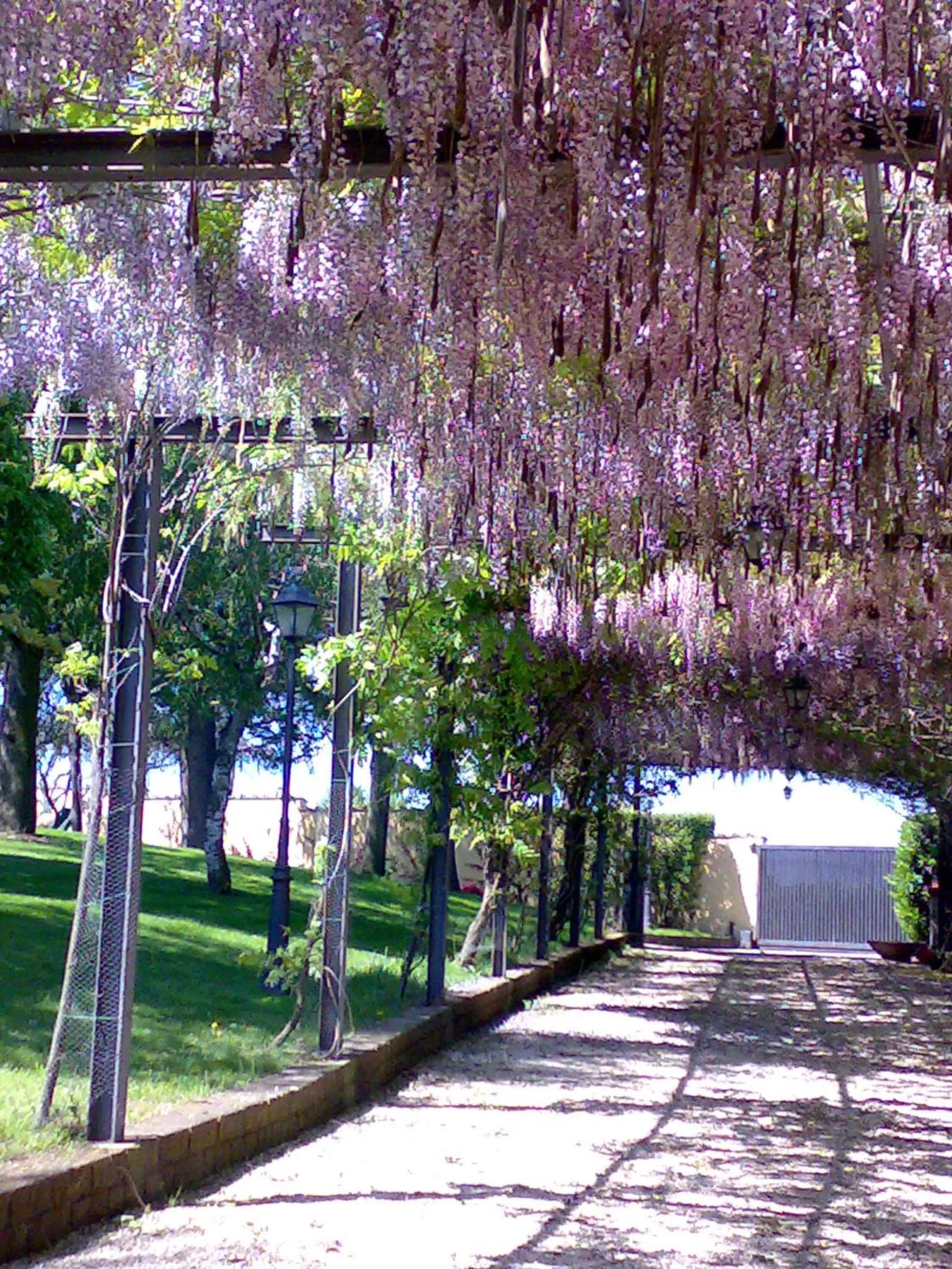 Garden in Aquilamaior